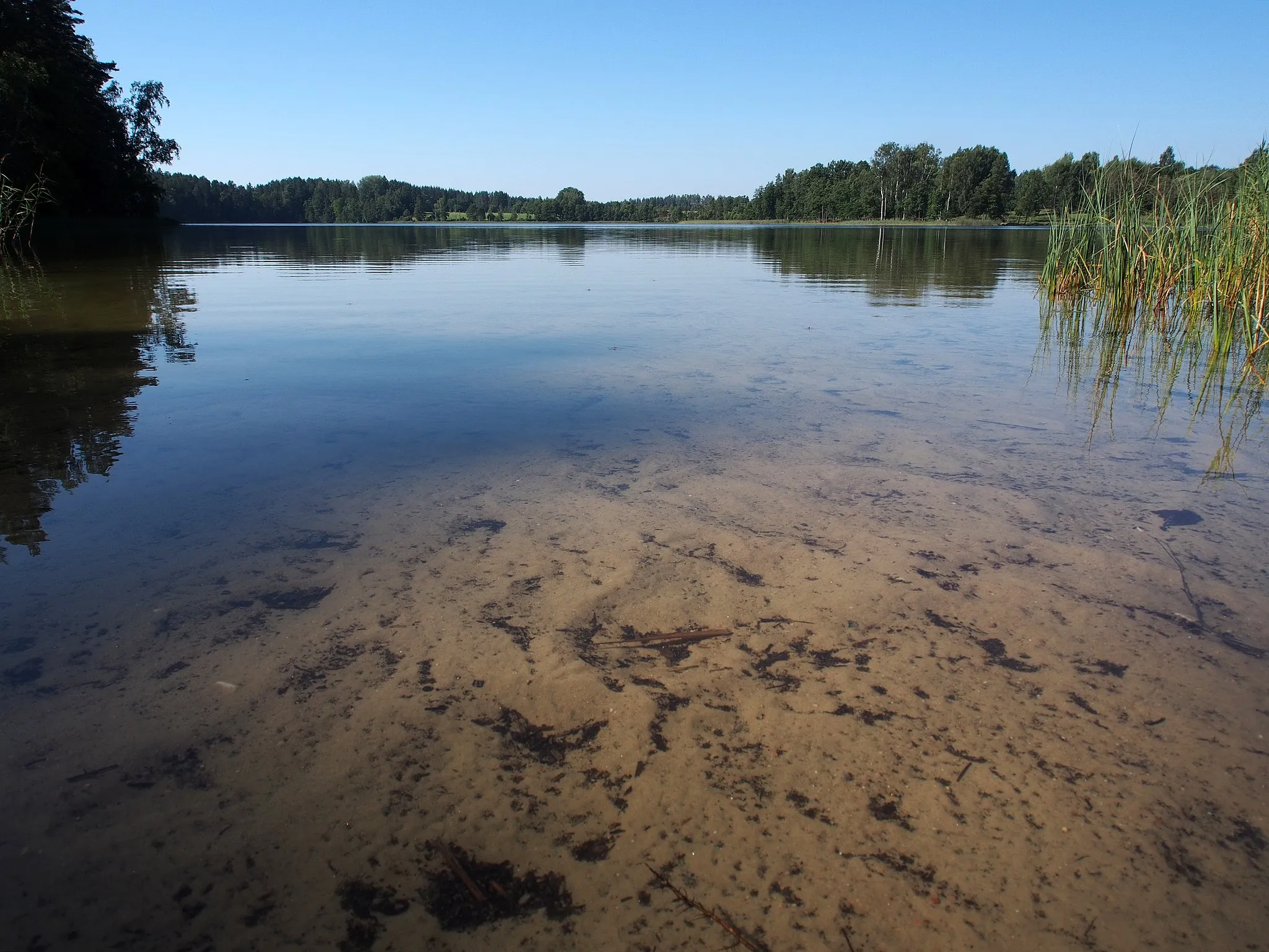 Photo showing: Lake Valgjärv in Valga County, Estonia