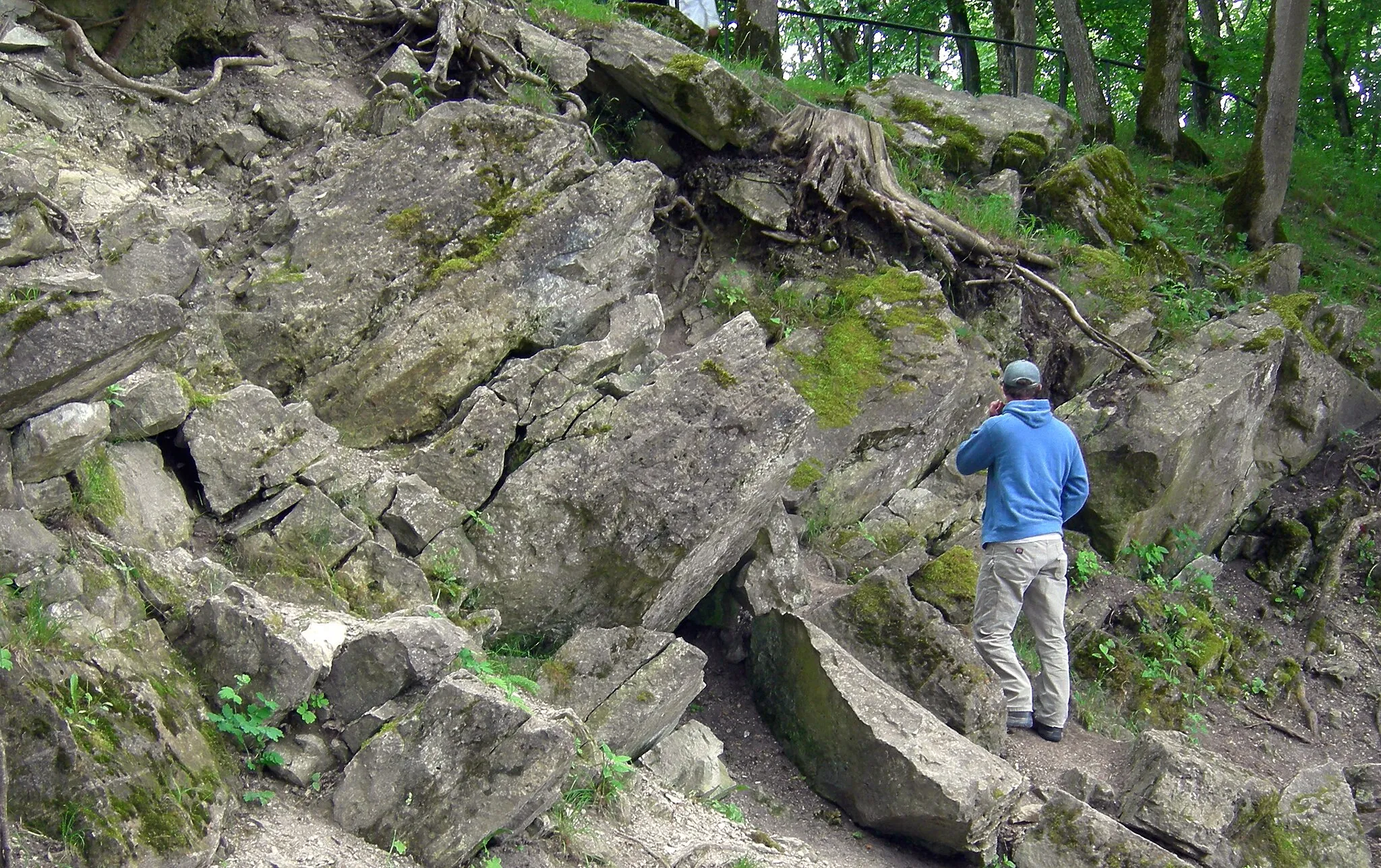 Photo showing: Tilted dolomite rocks at the Kaali main crater, Saaremaa, Estonia.