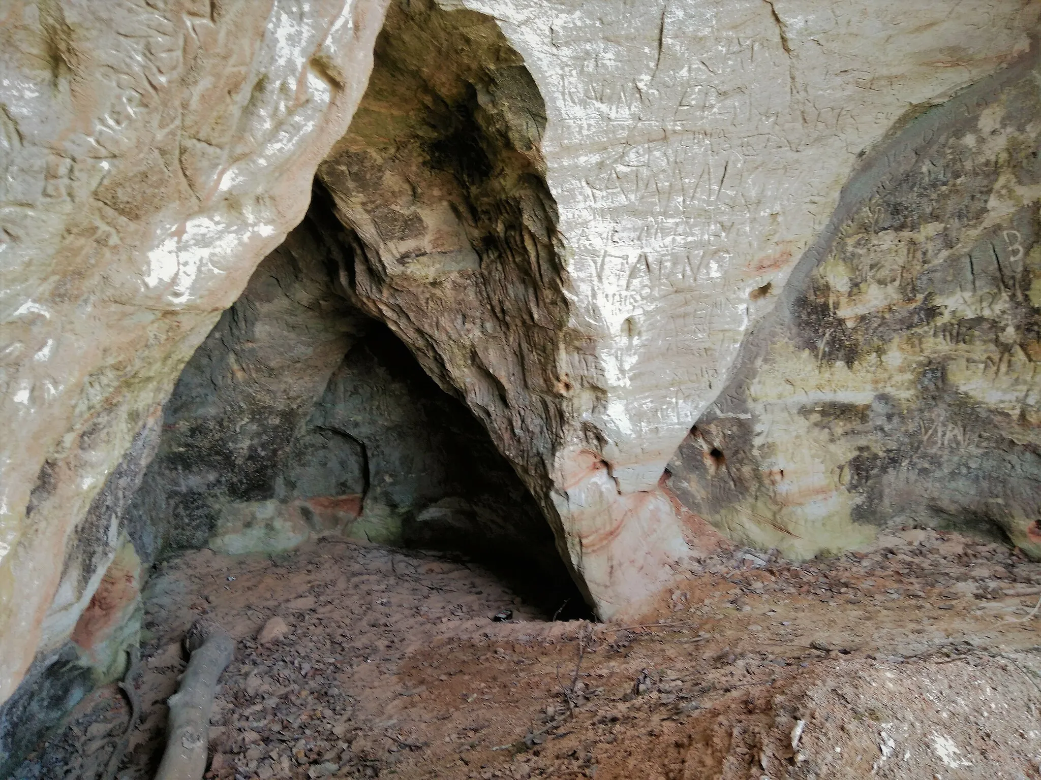 Photo showing: Kunnasilla koopad, mis on omal ajal tekkinud liivavõtmiskoha rajamise tõttu, asuvad Pärlijõe ürgoru lõunakalda liivakivipaljandis. See on ainuke devoni liivakivipaljand Pärlijõel. Ülalpool on liivakivi punane, allpool läheb hallikaks.