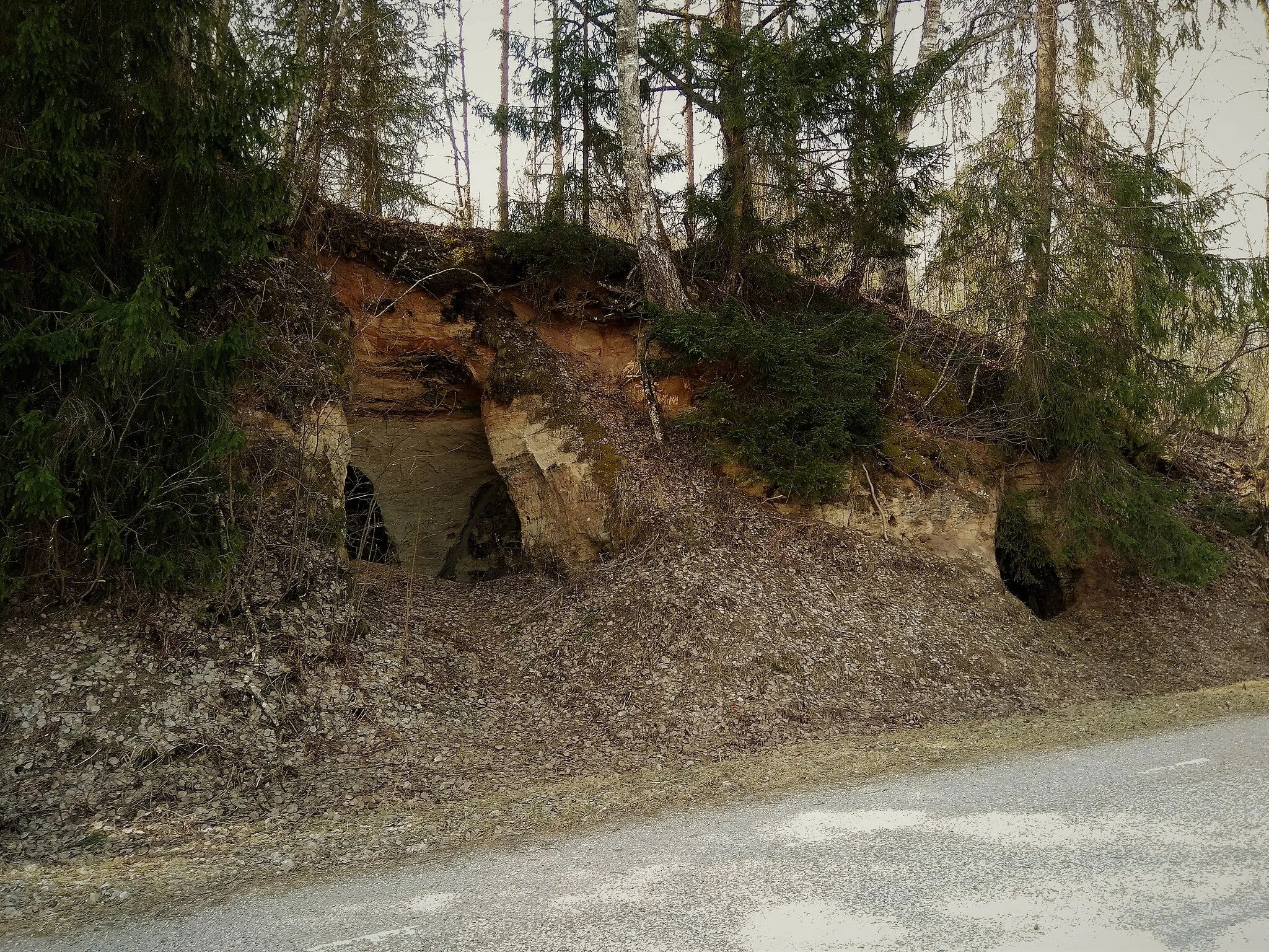 Photo showing: Kunnasilla koopad, mis on omal ajal tekkinud liivavõtmiskoha rajamise tõttu, asuvad Pärlijõe ürgoru lõunakalda liivakivipaljandis.