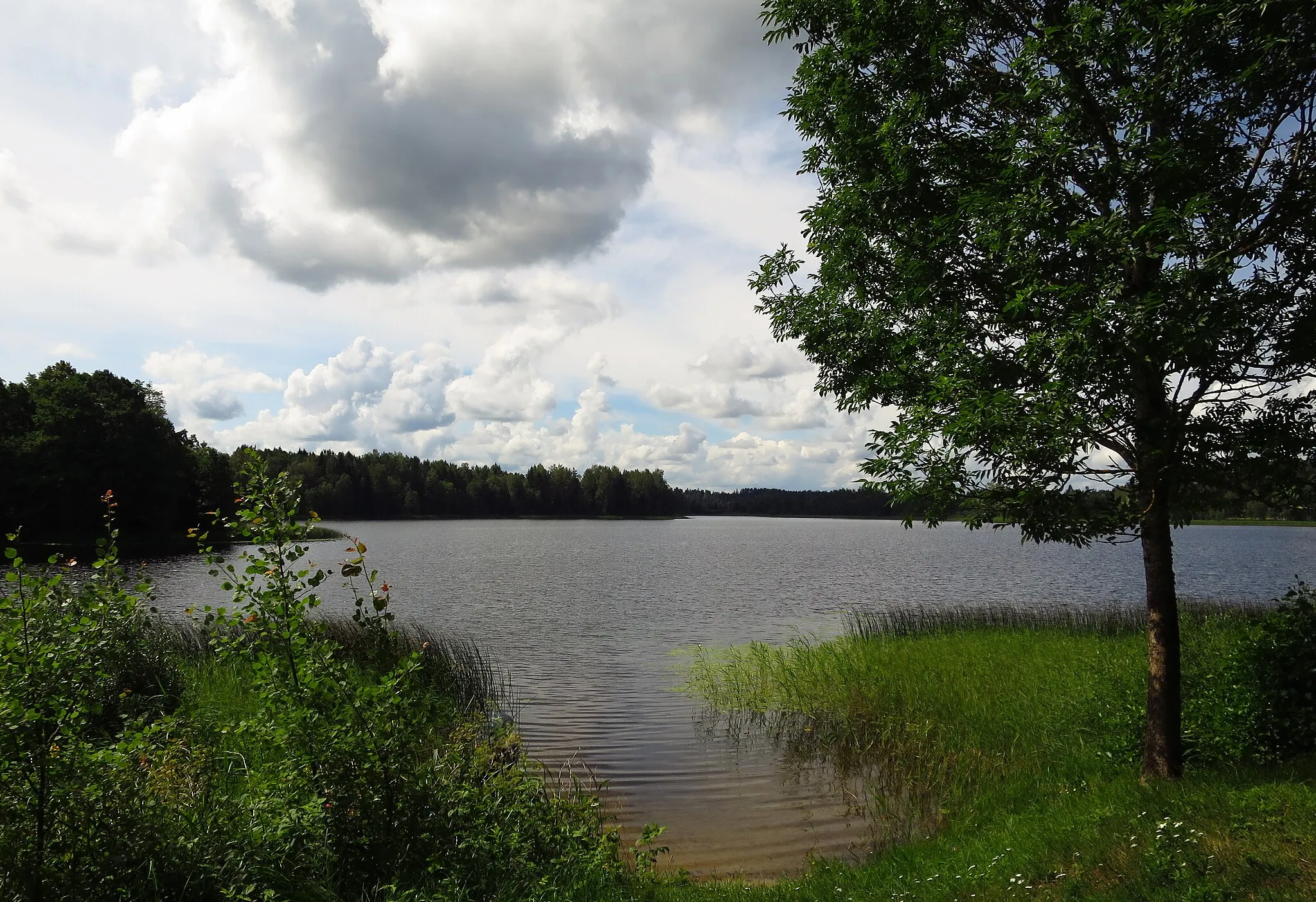 Photo showing: Kooraste Suurjärv