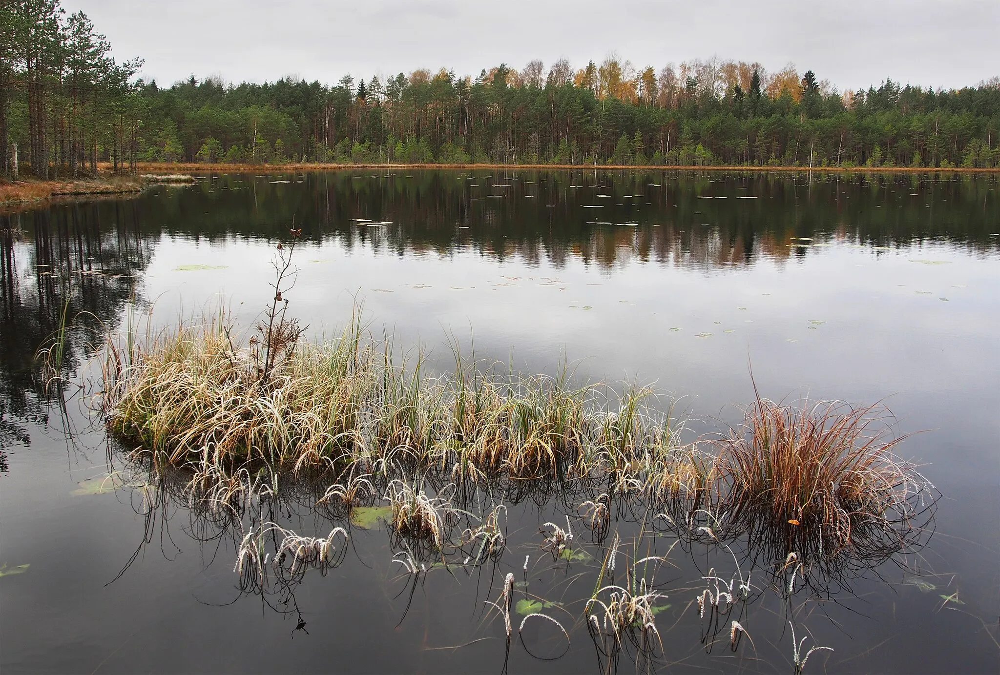 Photo showing: Raudsepa järv Valgamaal