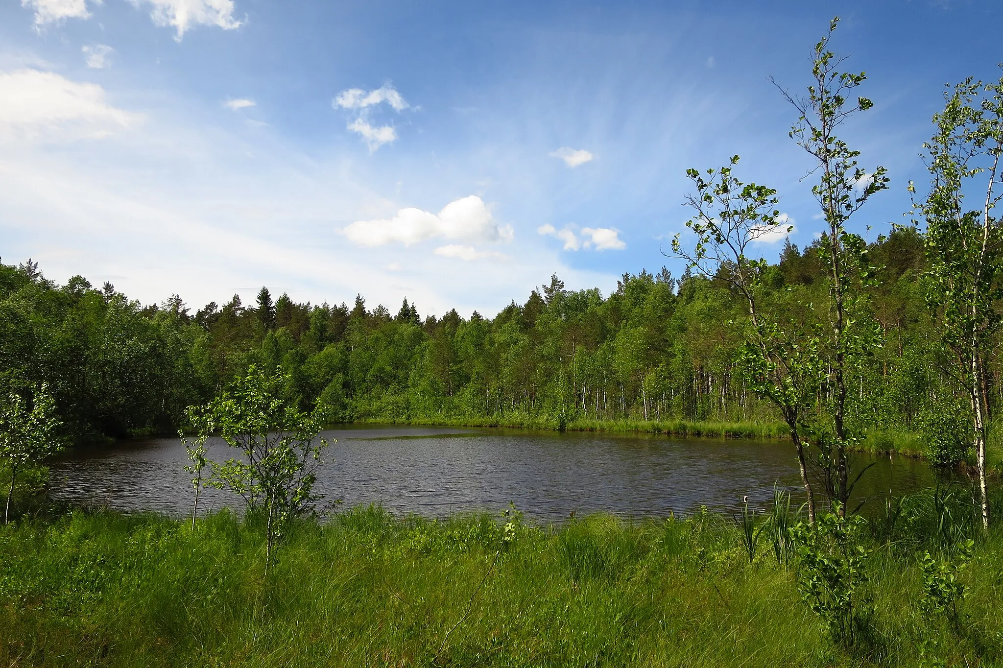 Photo showing: Kurtna Sisalikujärv Kurtna MKAl