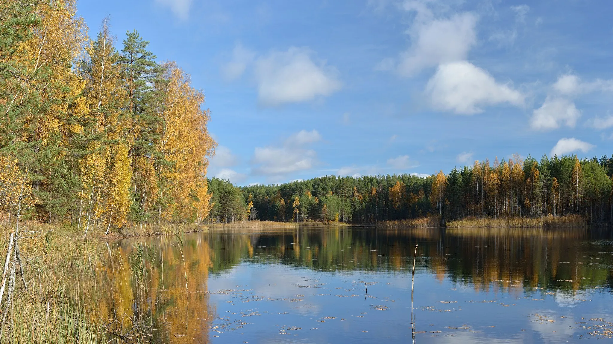 Photo showing: Lake Ahnejärv, Kurtna Landscape Reserve. Surface area 7.5 ha, deepness as far as 5.5 m.