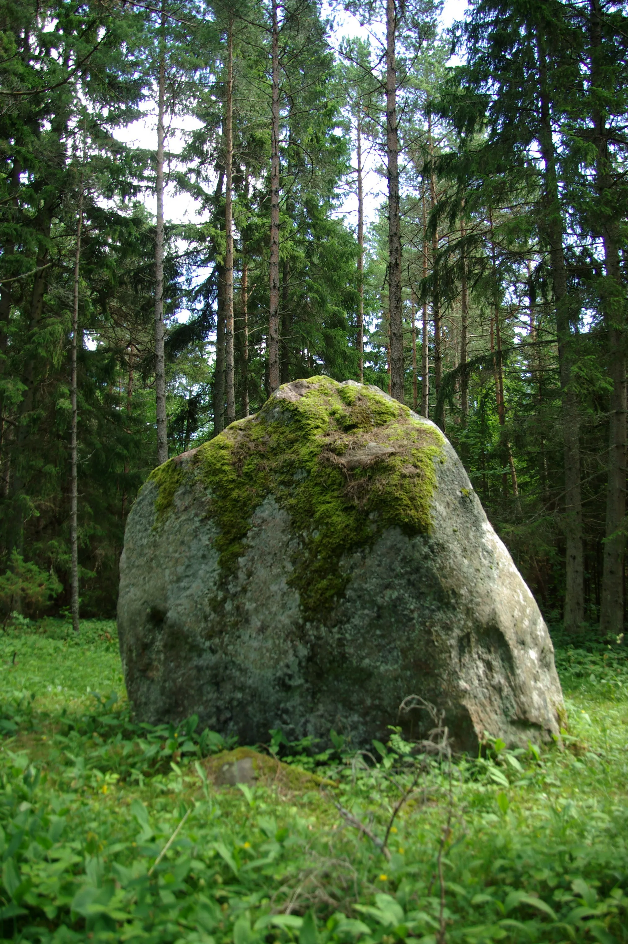 Photo showing: This is a photo of natural heritage of Estonia number