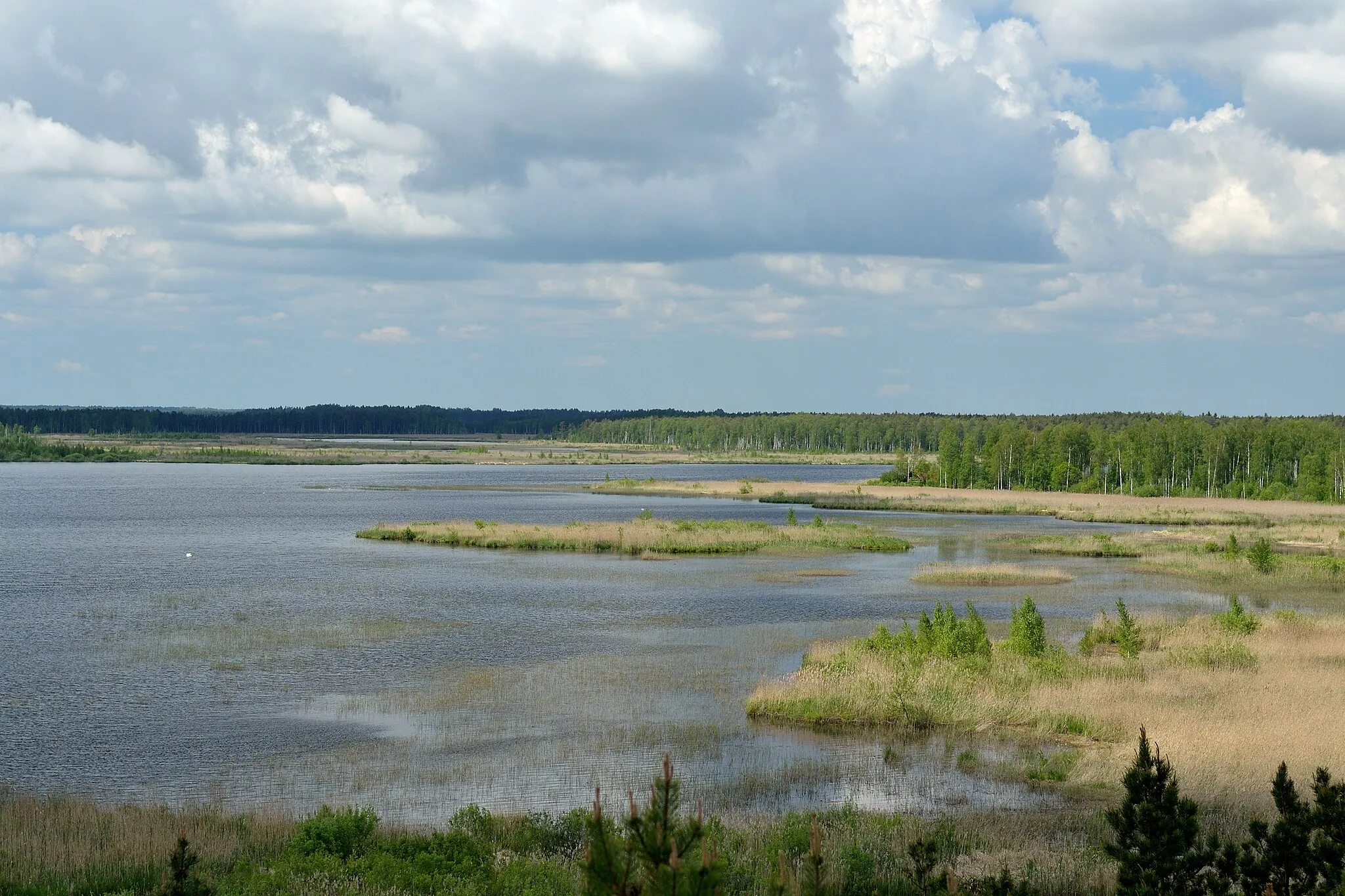 Photo showing: Endla lake