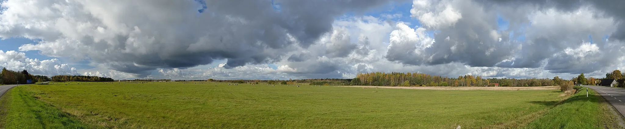 Photo showing: Meadow in Laitse village