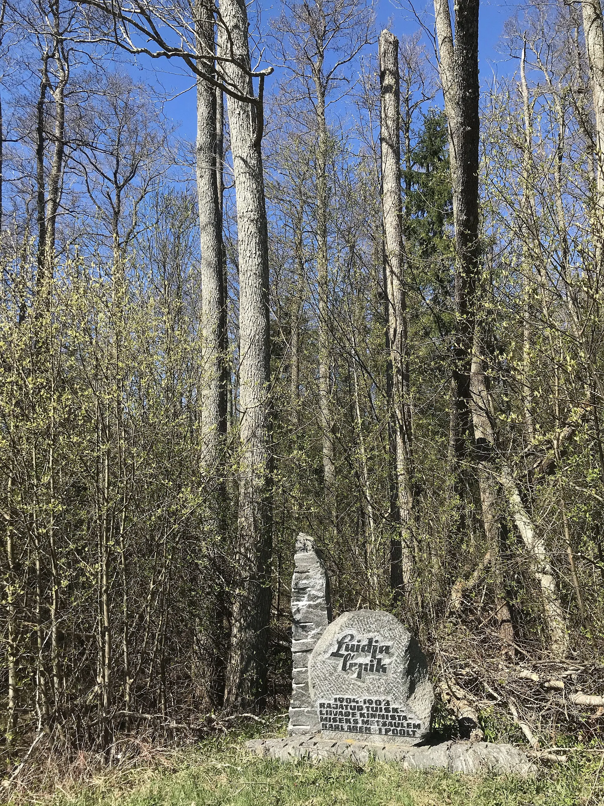 Photo showing: Alder forest in Hiiumaa