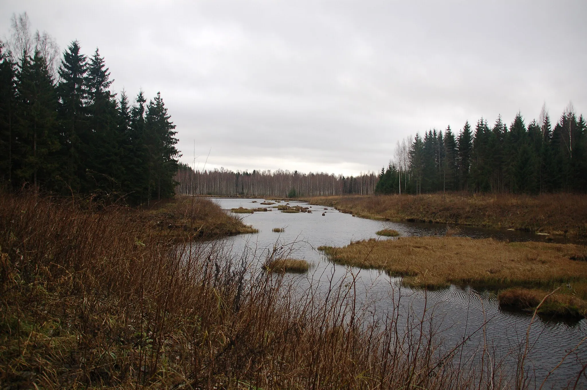 Photo showing: Luke Vanajärv