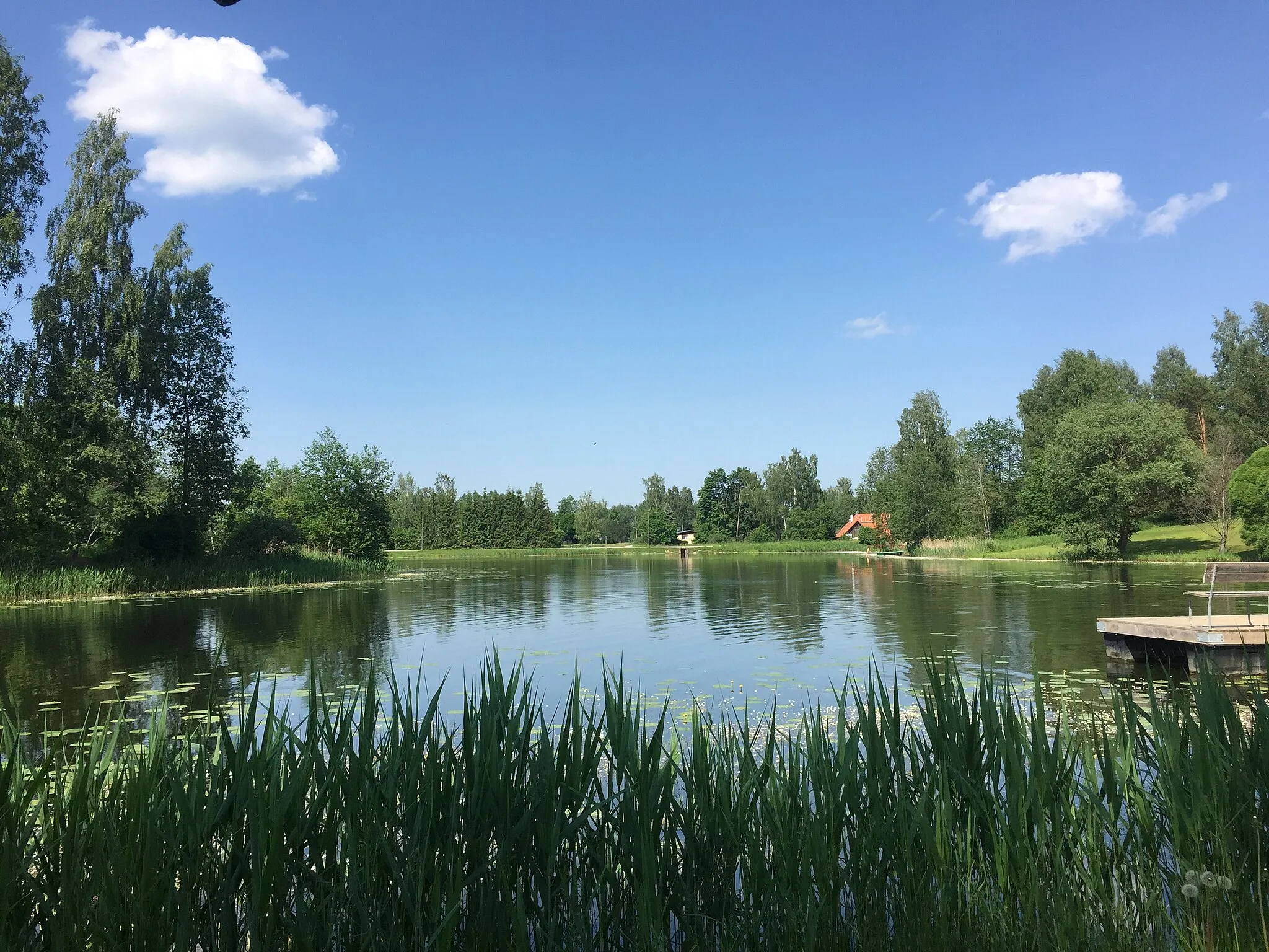 Photo showing: Melliste järv supelranna poolt vaadatuna