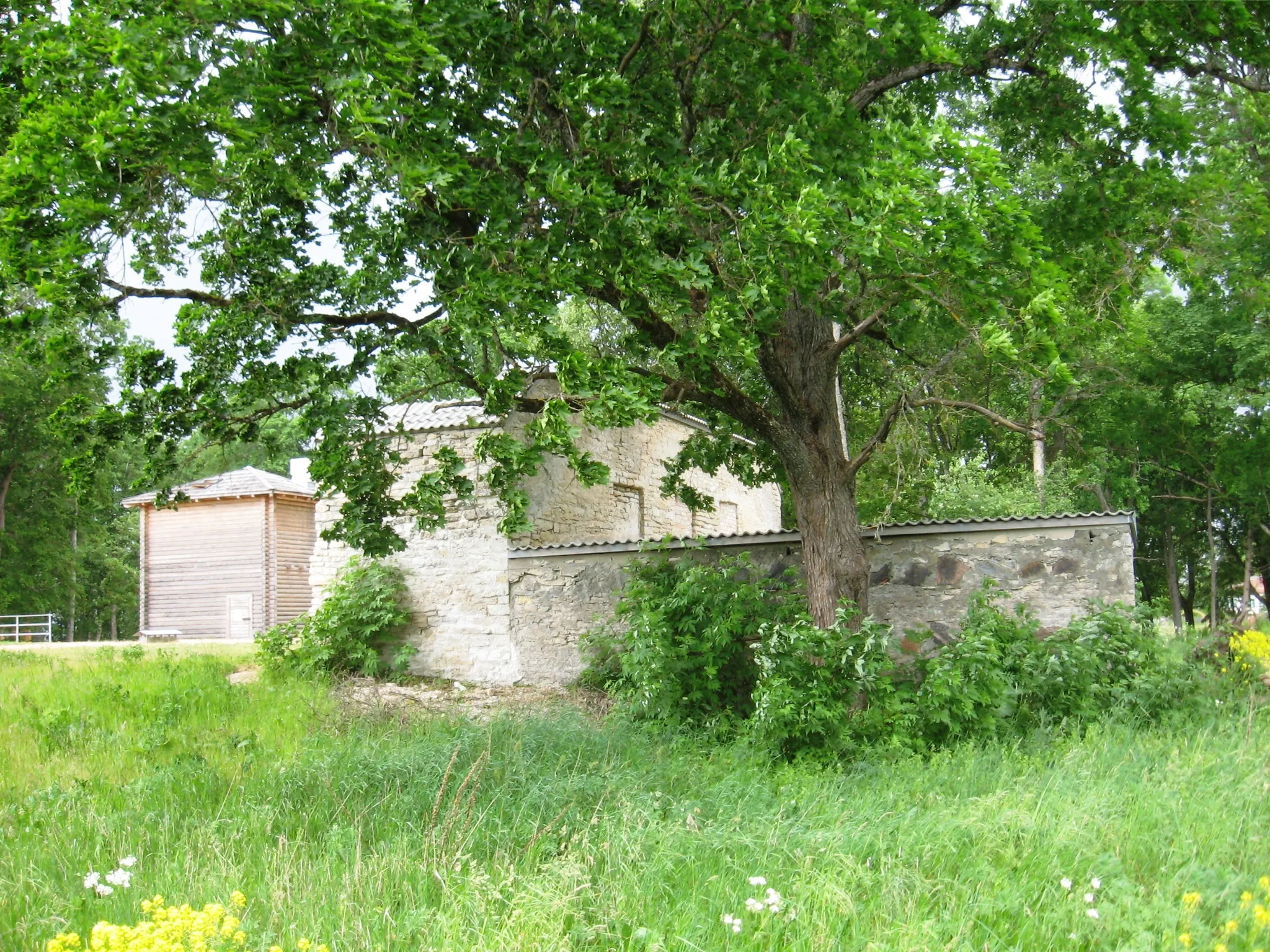 Photo showing: Müüsleri mõisa varemed ja Kilplala hoone