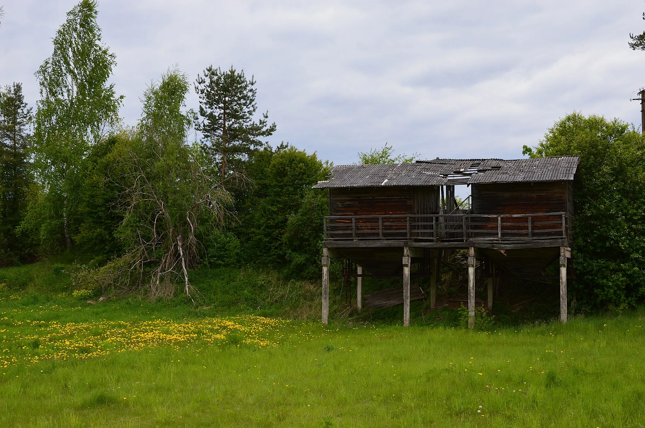 Photo showing: Nulga küla lõunaosa Jaama–Rahumäe tee ääres