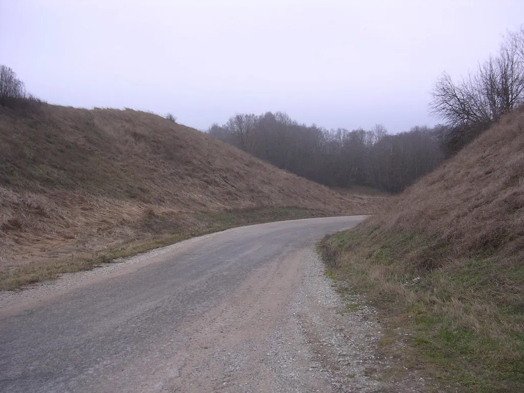 Photo showing: A smaller road to Tallinn-Narva road