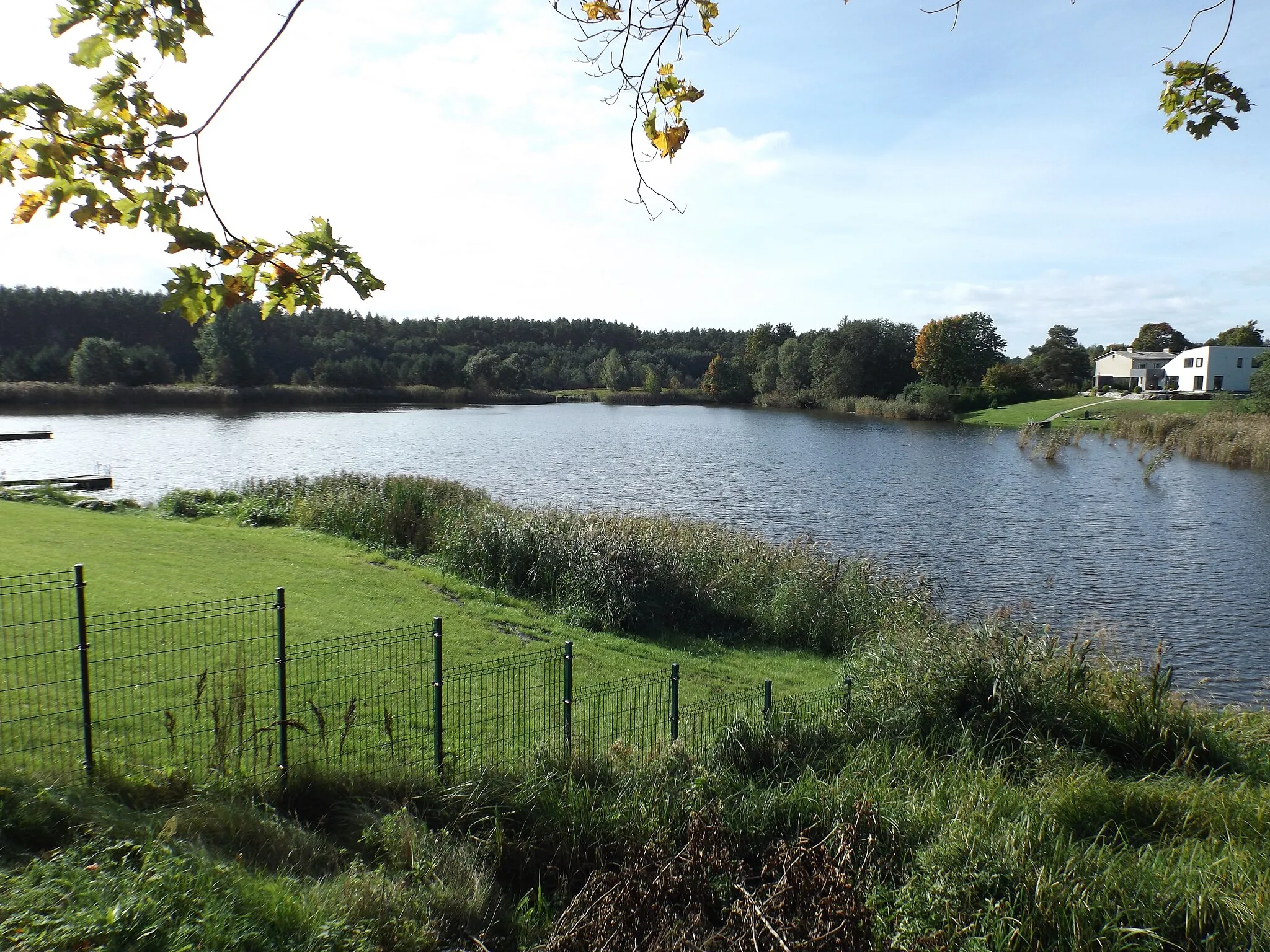 Photo showing: Lake Lodja (Reiu) in Paikuse, Pärnu municipality.