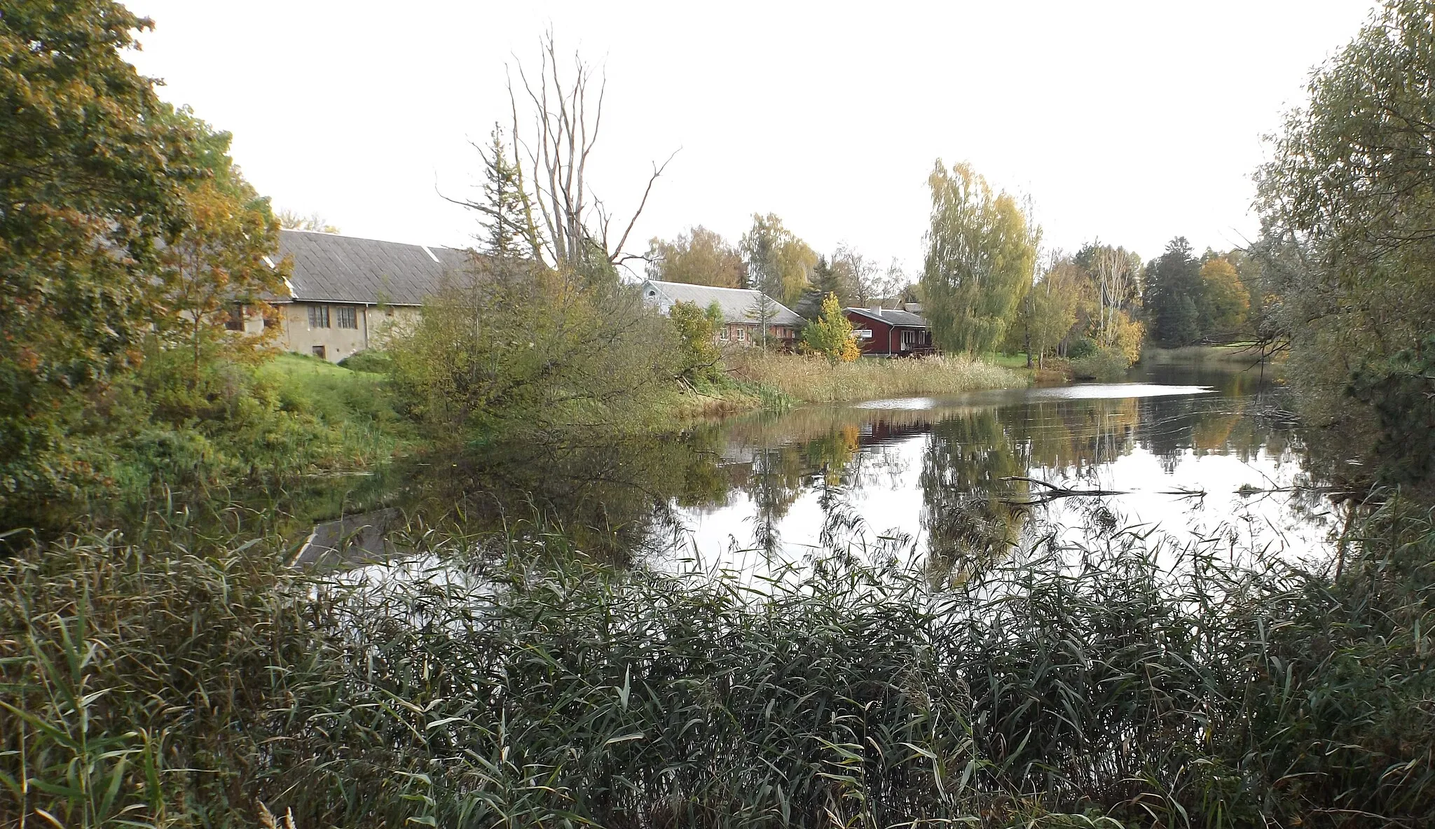 Photo showing: Türgi paisjärv Paikusel.