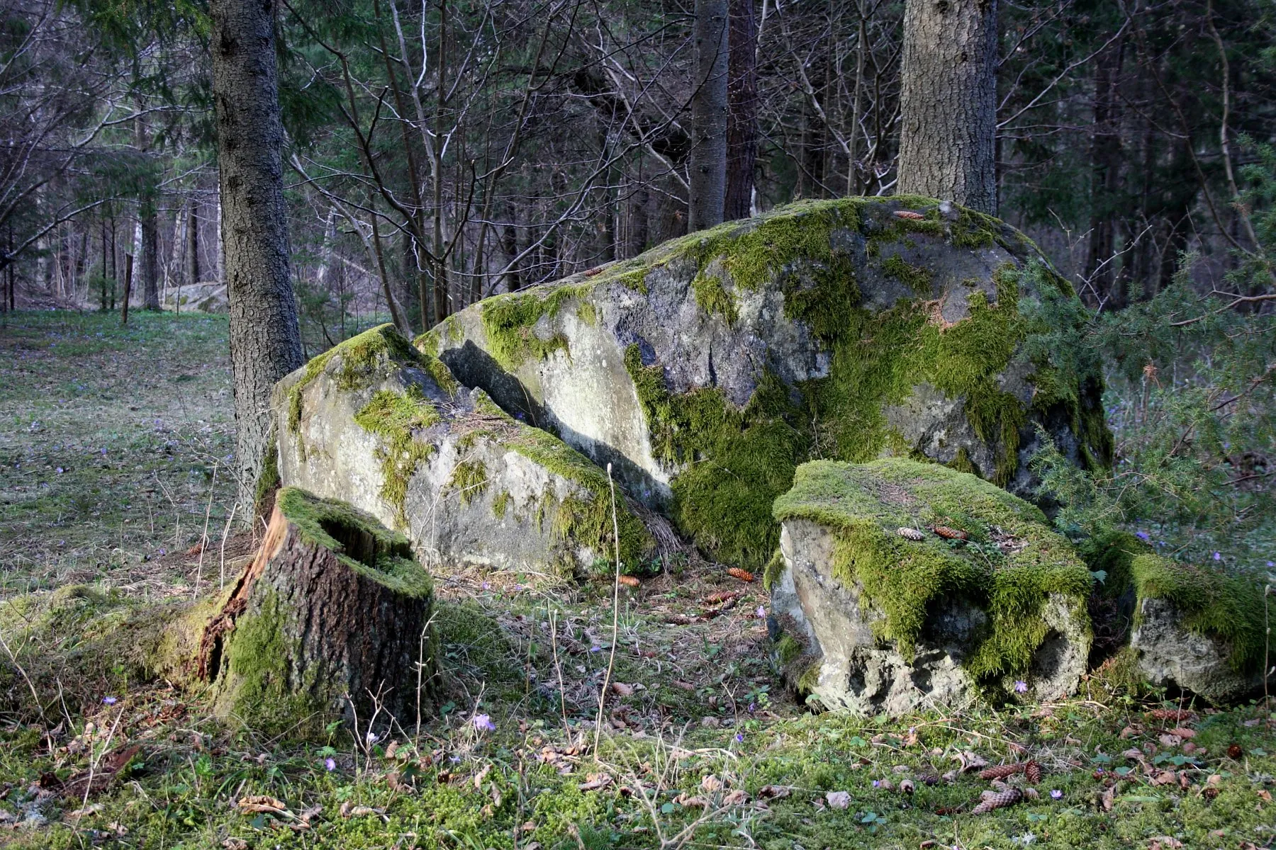 Photo showing: "Devil's Rock" - a boulder in Palade, Pühalepa Parish, Hiiumaa, Estonia