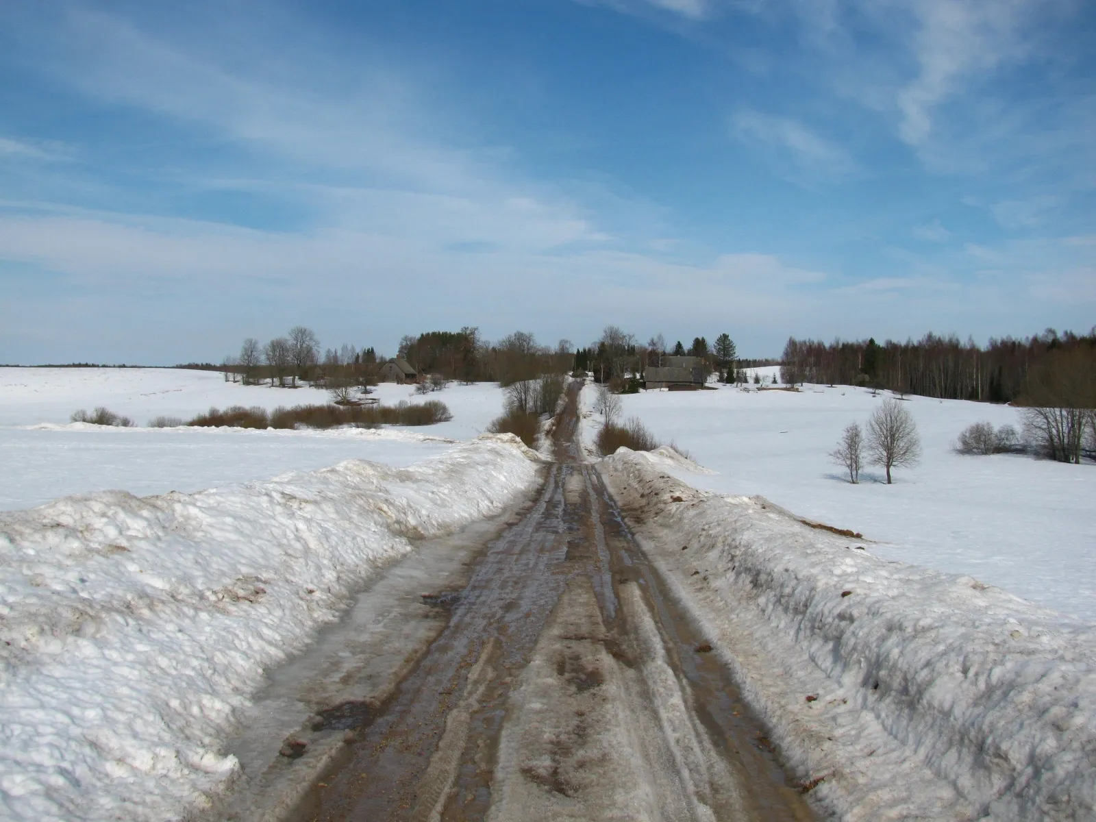 Photo showing: Landscape in Pedajamäe