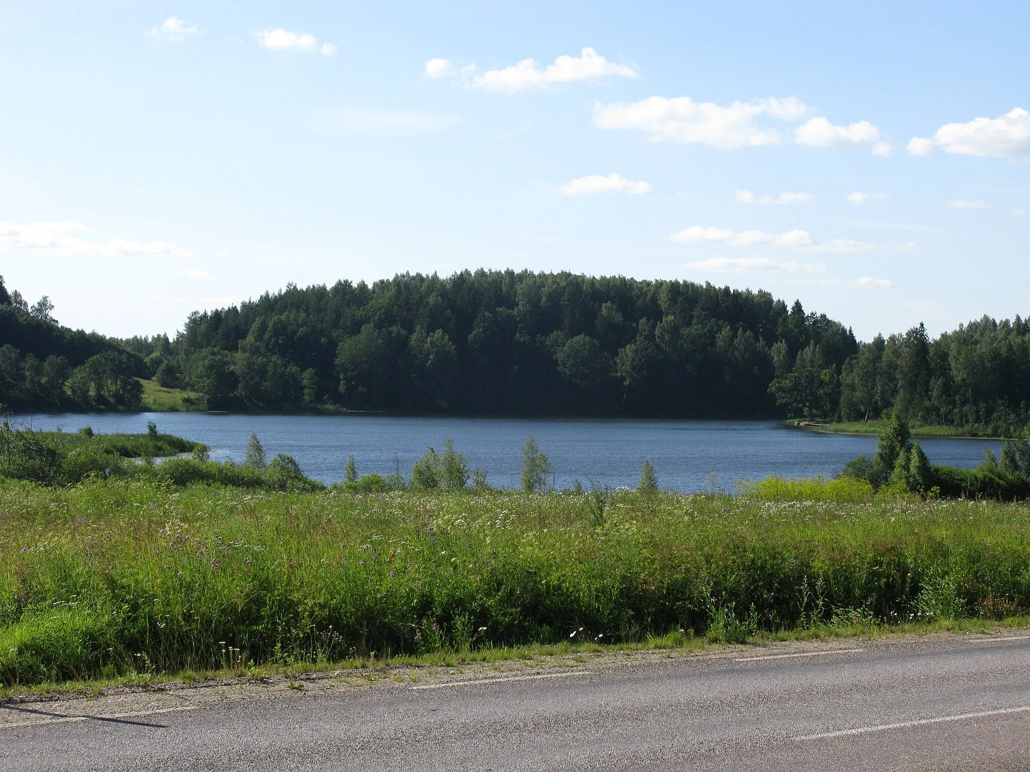 Photo showing: Lake Pilkuse, located in Valga County, Estonia.