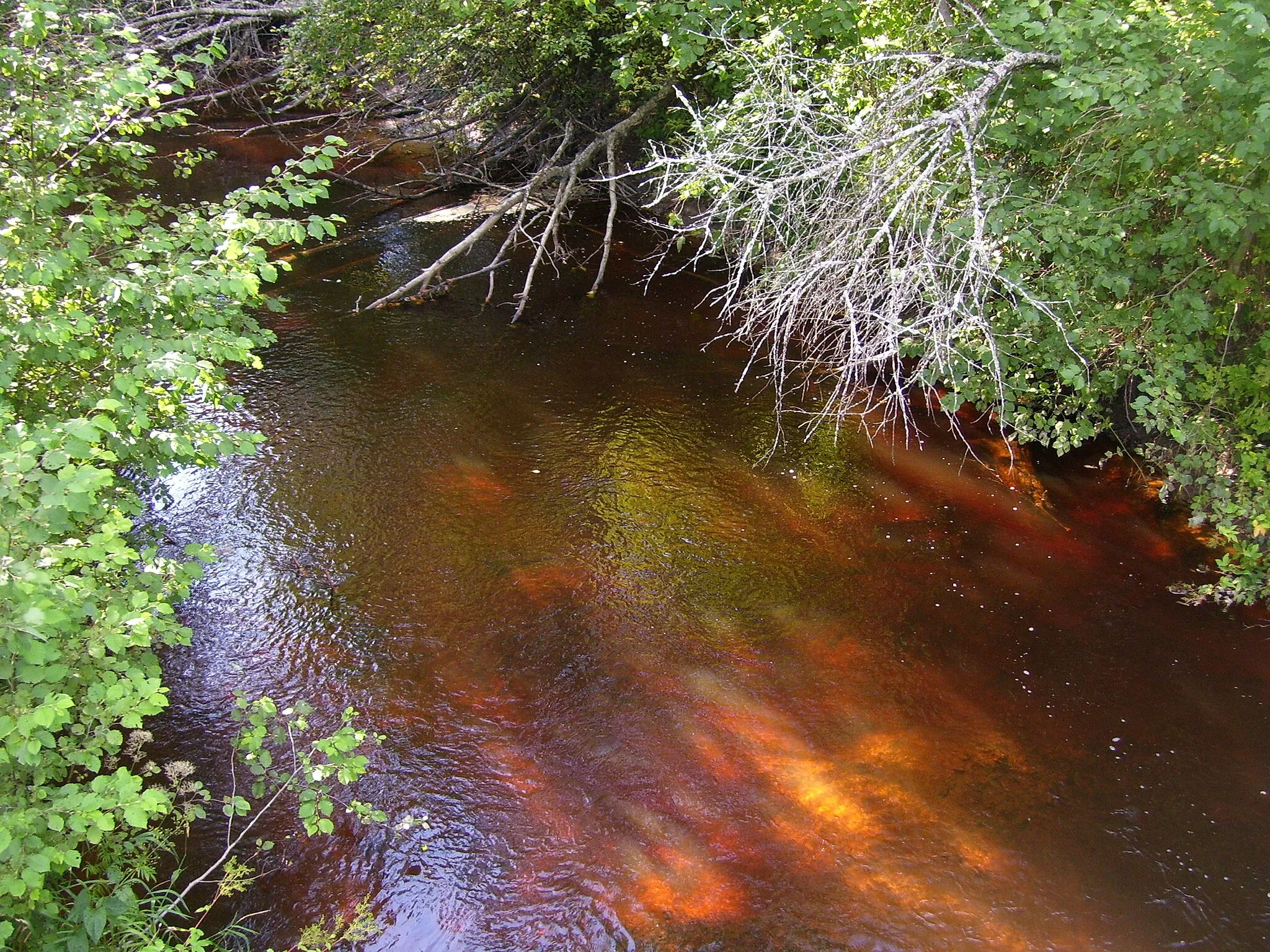 Photo showing: Pudisoo jõgi Pudisoo külas asuva silla all (vaade sillast lääne poole)