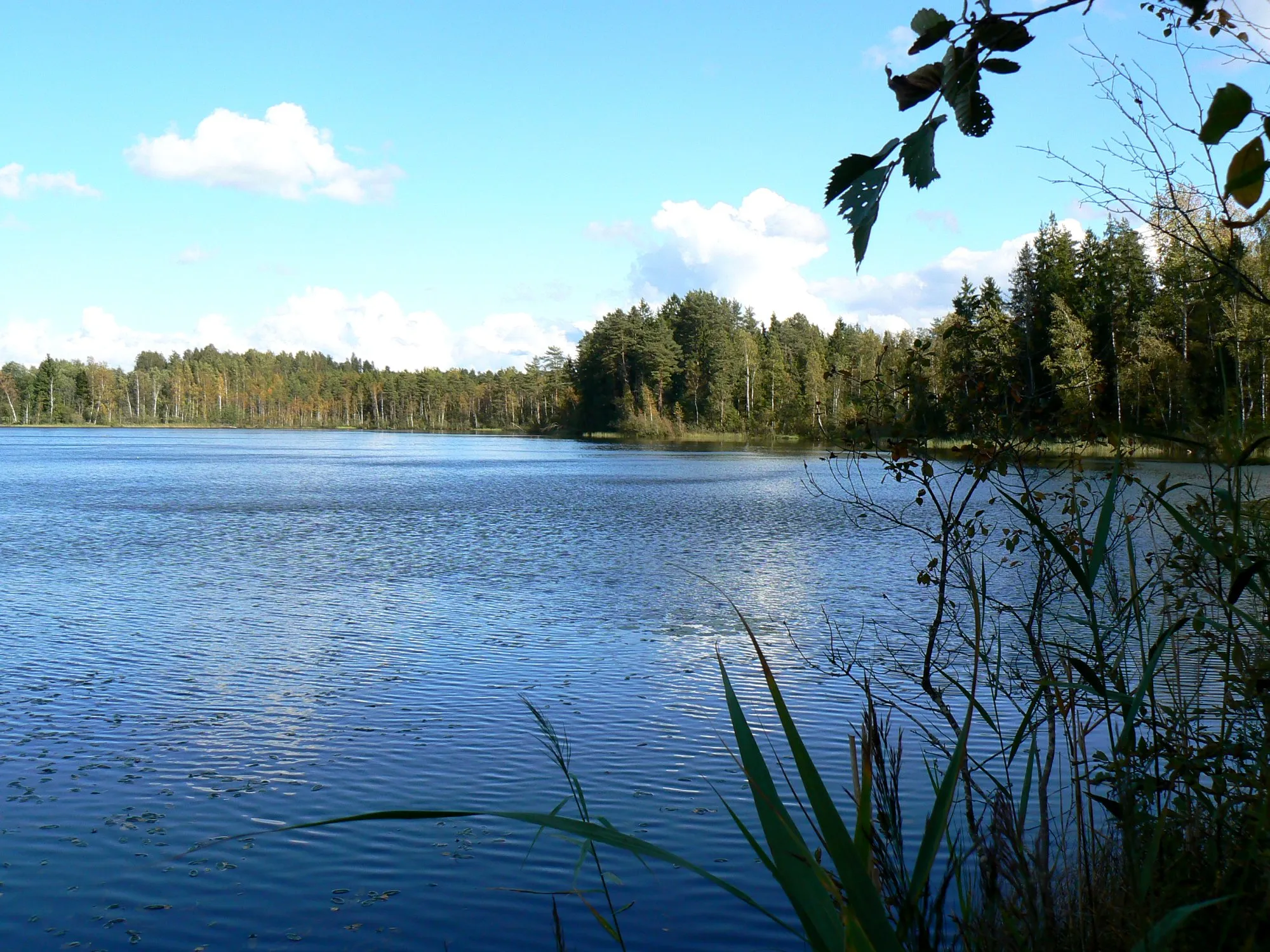 Photo showing: Näkijärv in Estonia