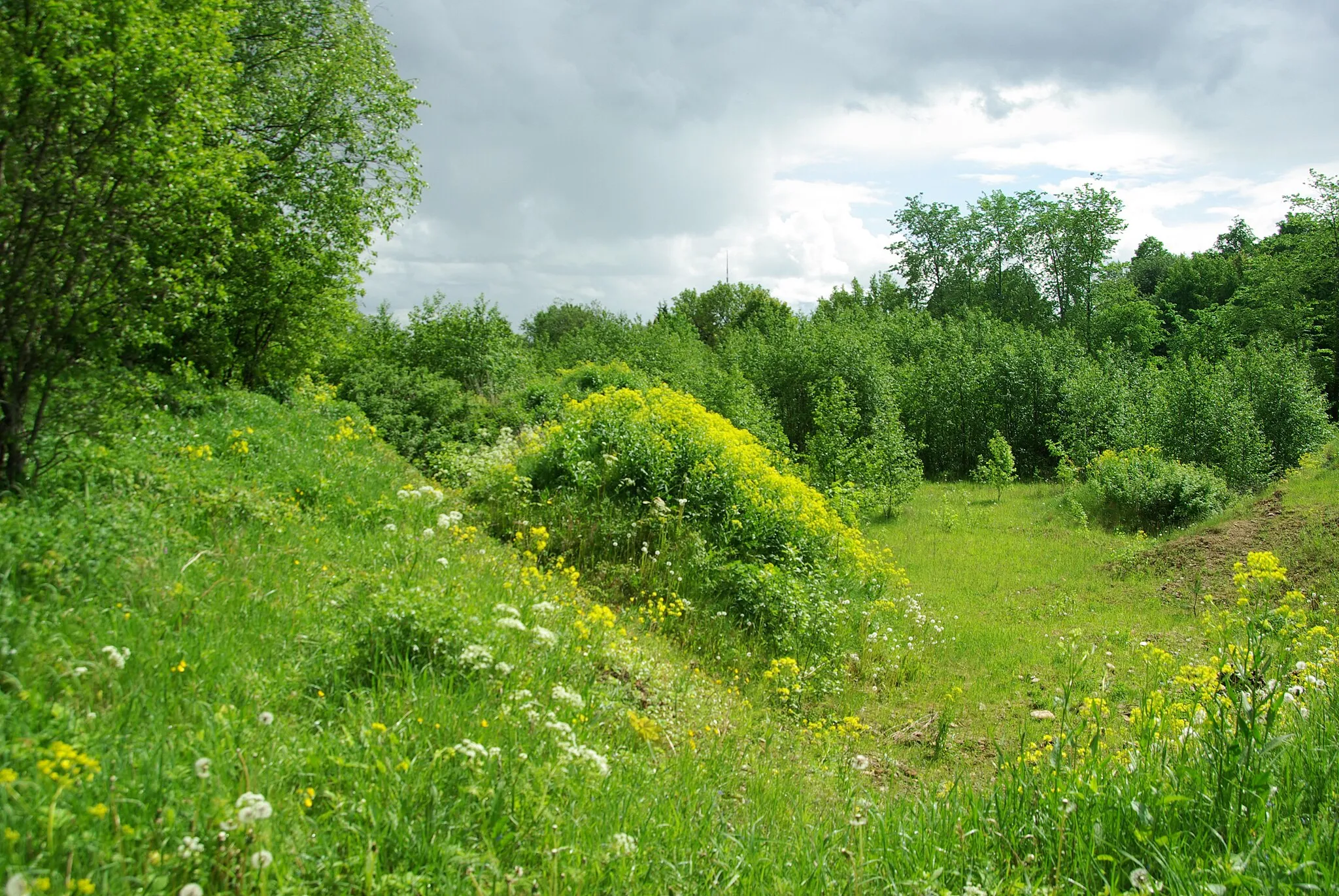 Photo showing: This is a photo of natural heritage of Estonia number