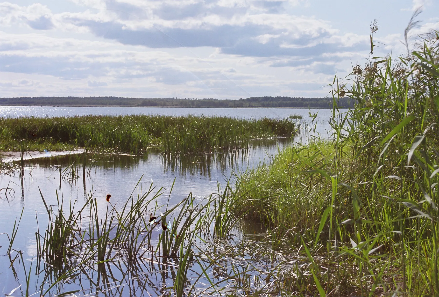 Photo showing: Rõngu River, Lake Võrtsjärv