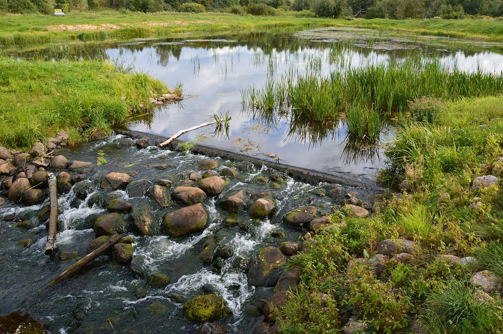 Photo showing: Pärlijõgi