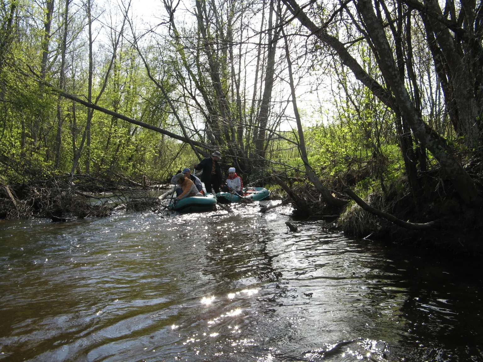 Photo showing: Pärlijõgi, Sänna