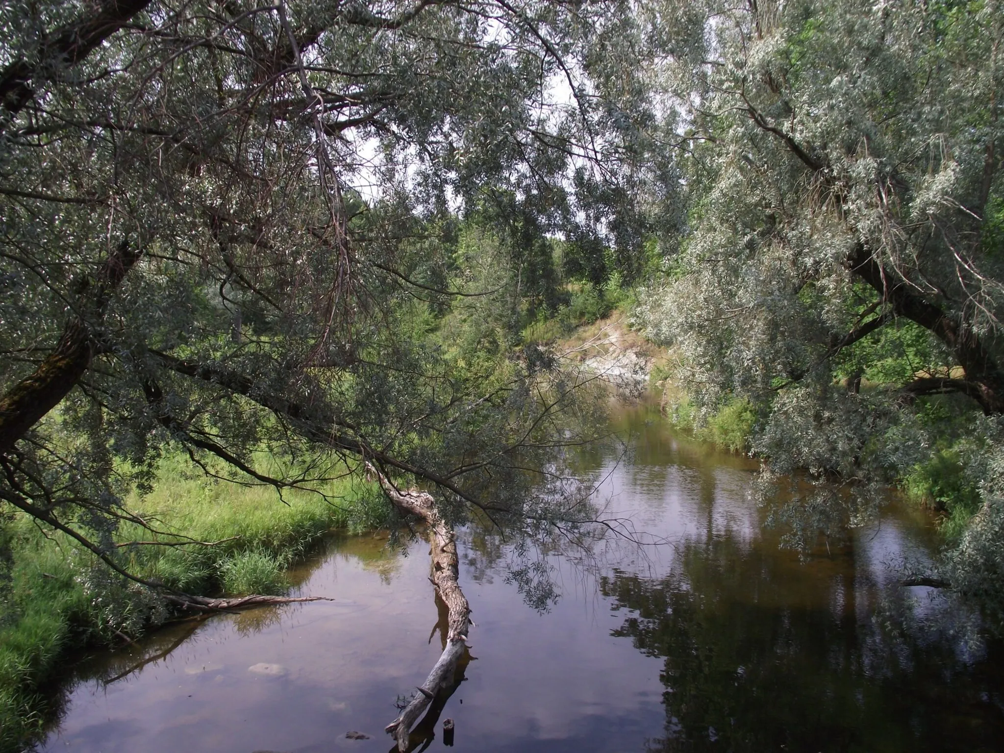 Photo showing: Pühajõgi in Toila.