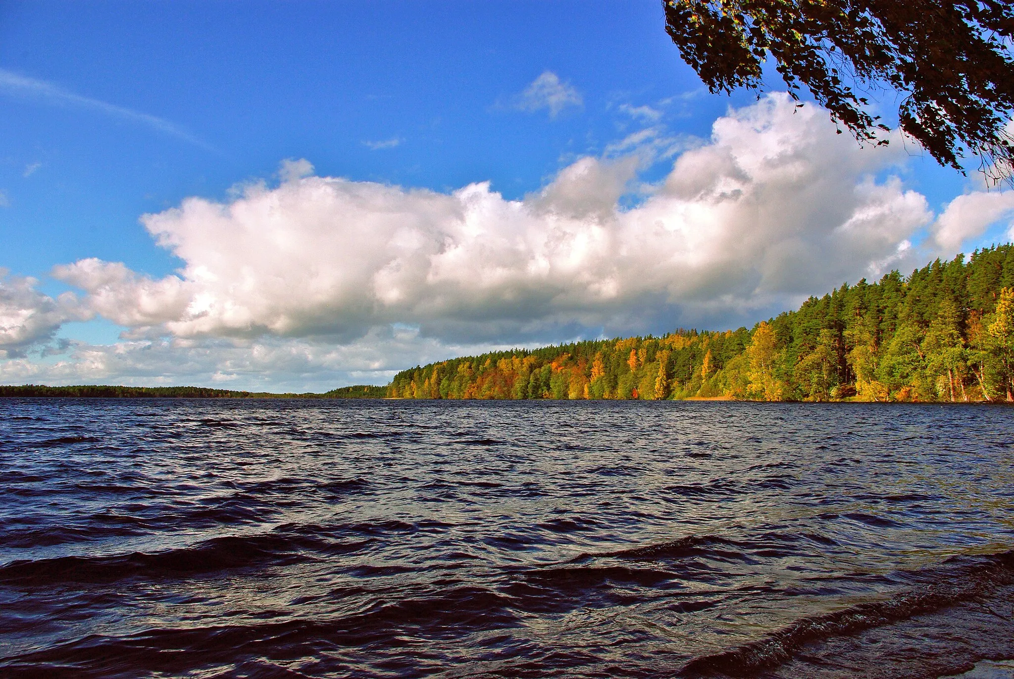 Photo showing: lake Uljaste