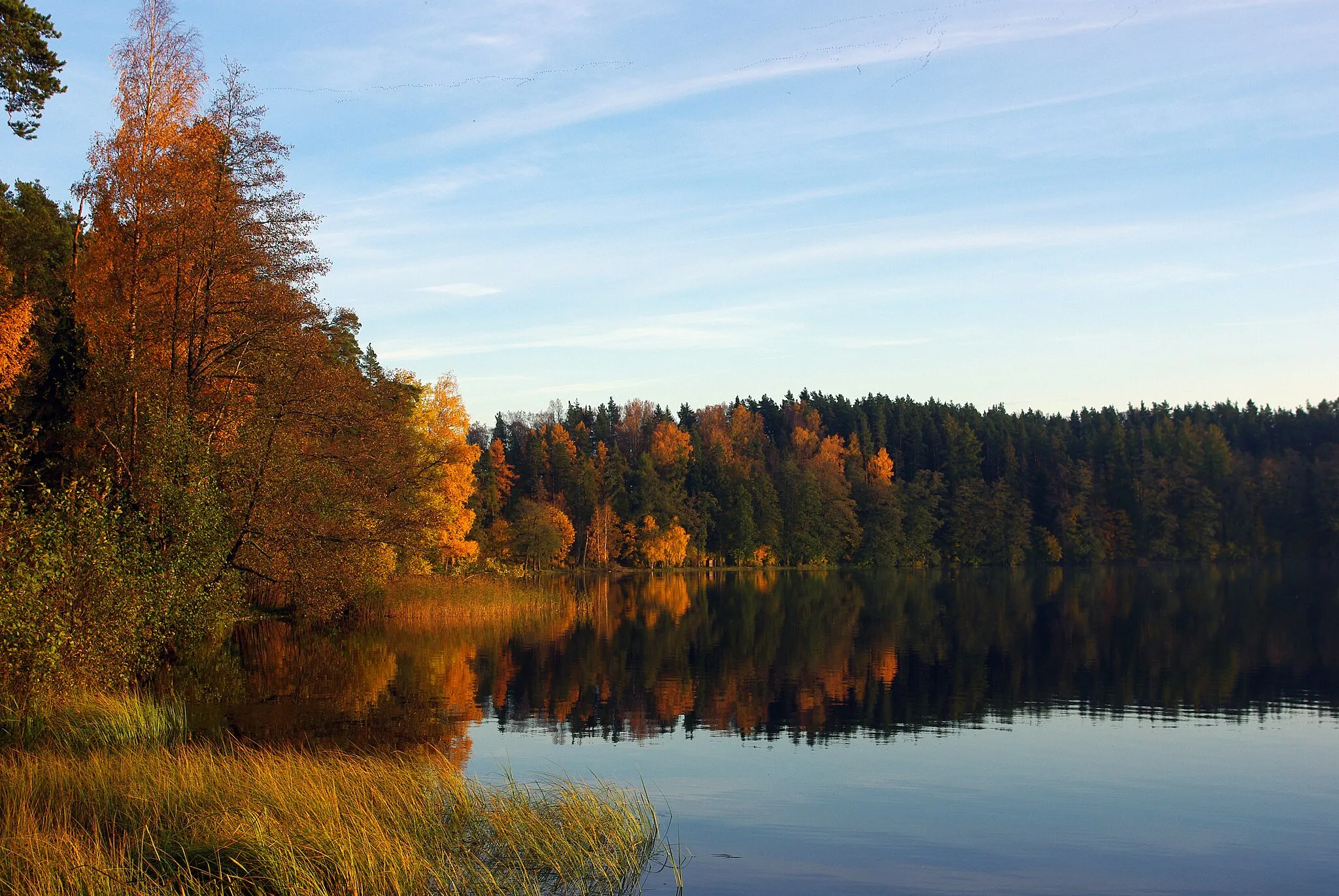 Photo showing: lake Uljaste,Golden October