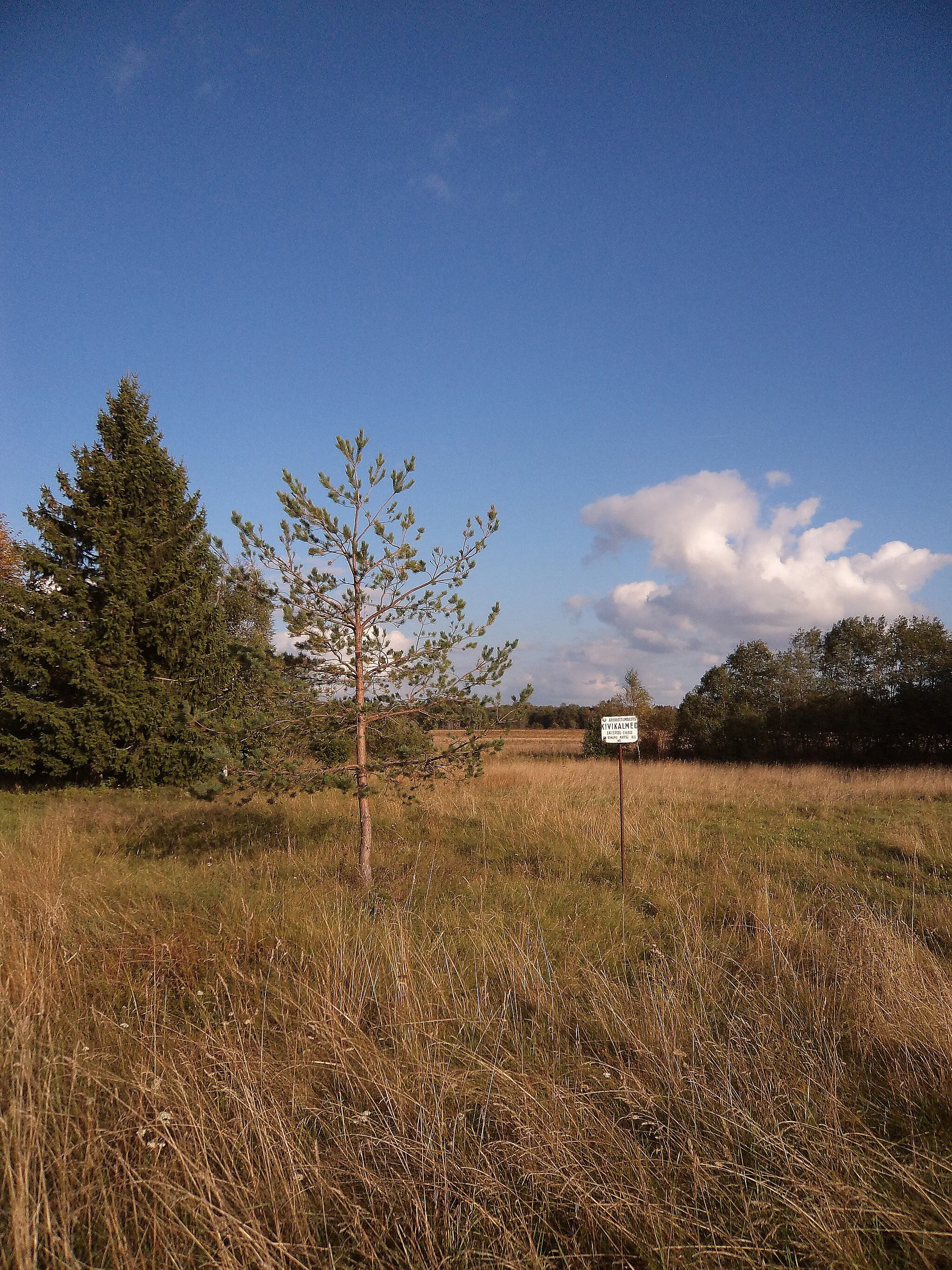 Photo showing: This is a photo of cultural heritage monument of Estonia number