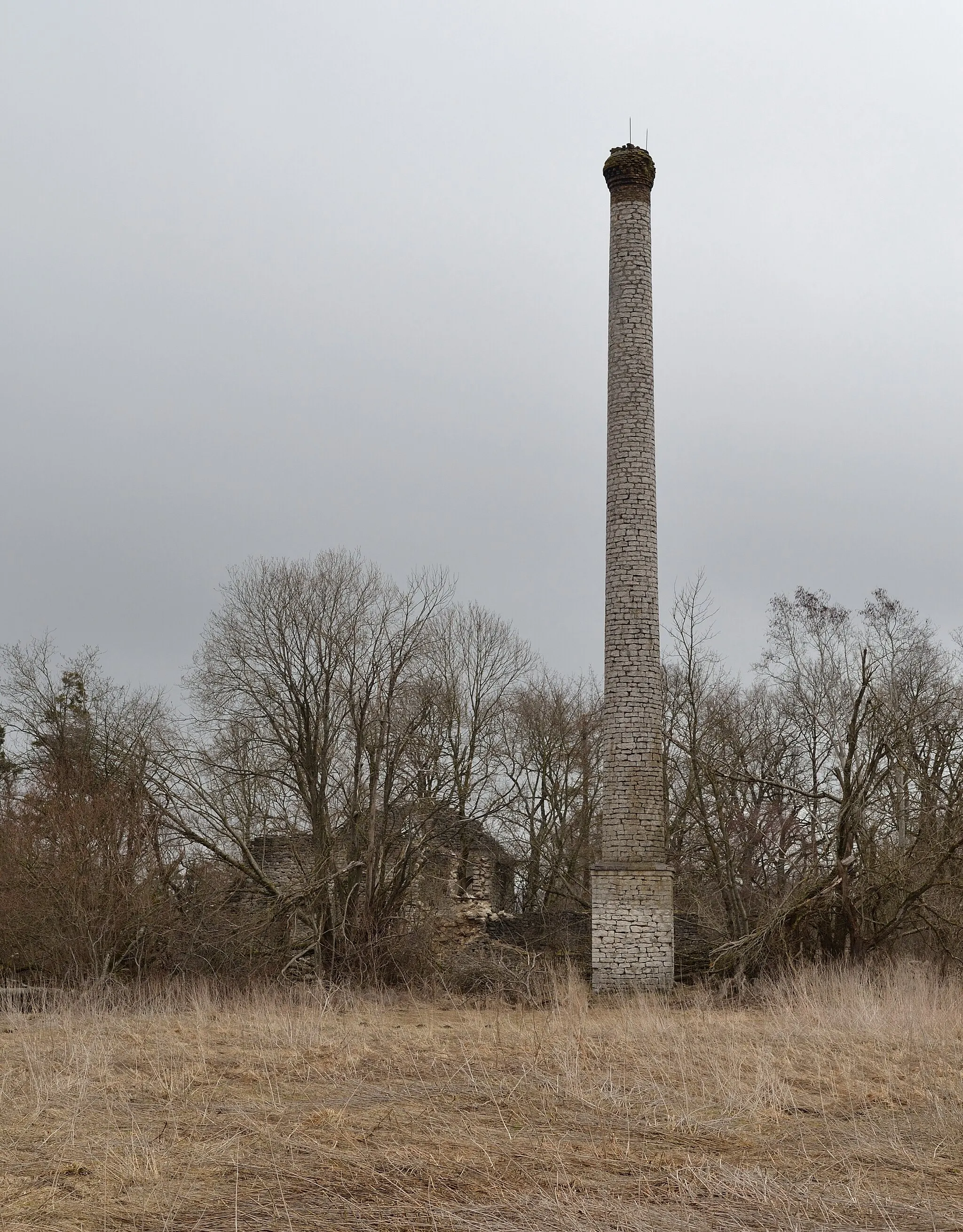Photo showing: The chimney of Äntu manor distillery