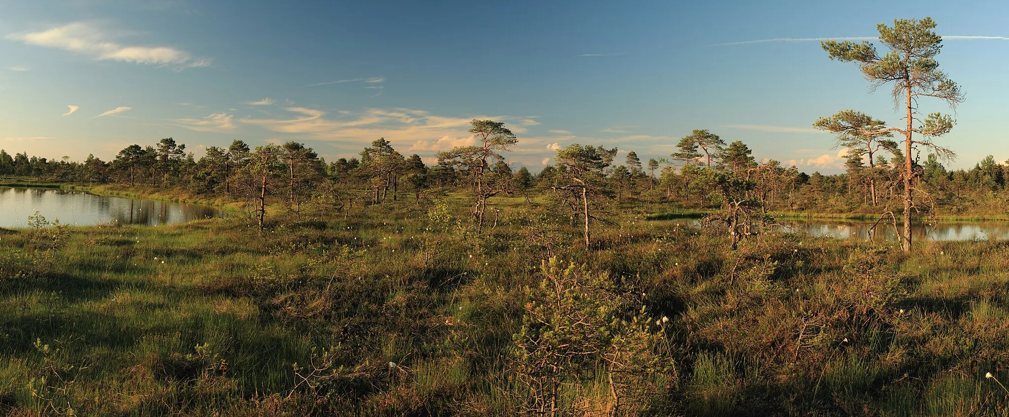 Photo showing: This is a photo of natural heritage of Estonia number