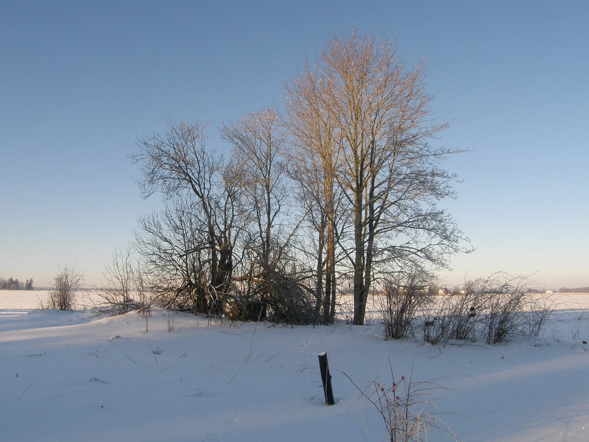 Photo showing: This is a photo of cultural heritage monument of Estonia number