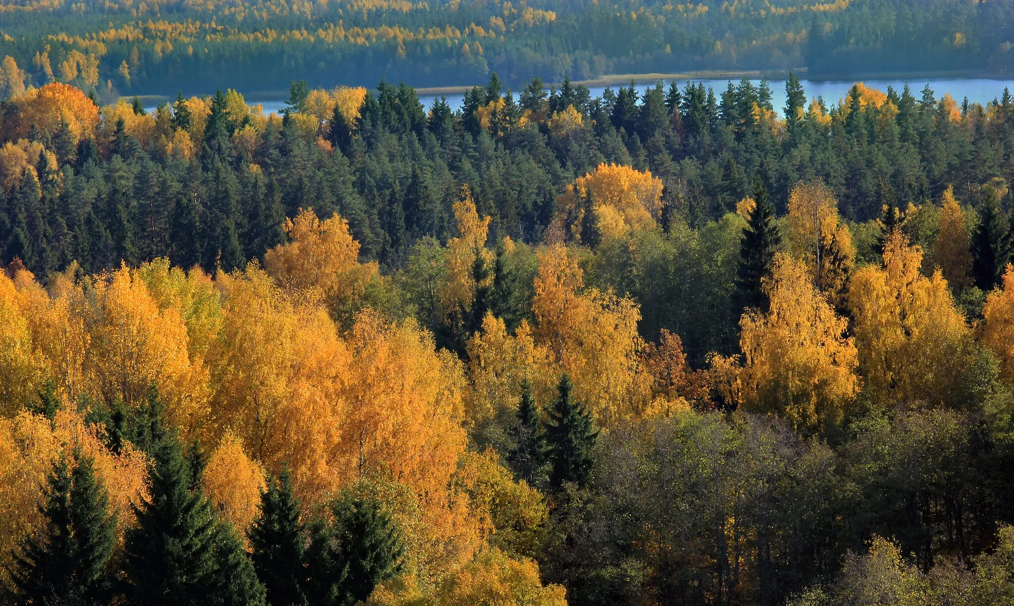 Photo showing: Ähijärv Mäekonnu vaatetornist