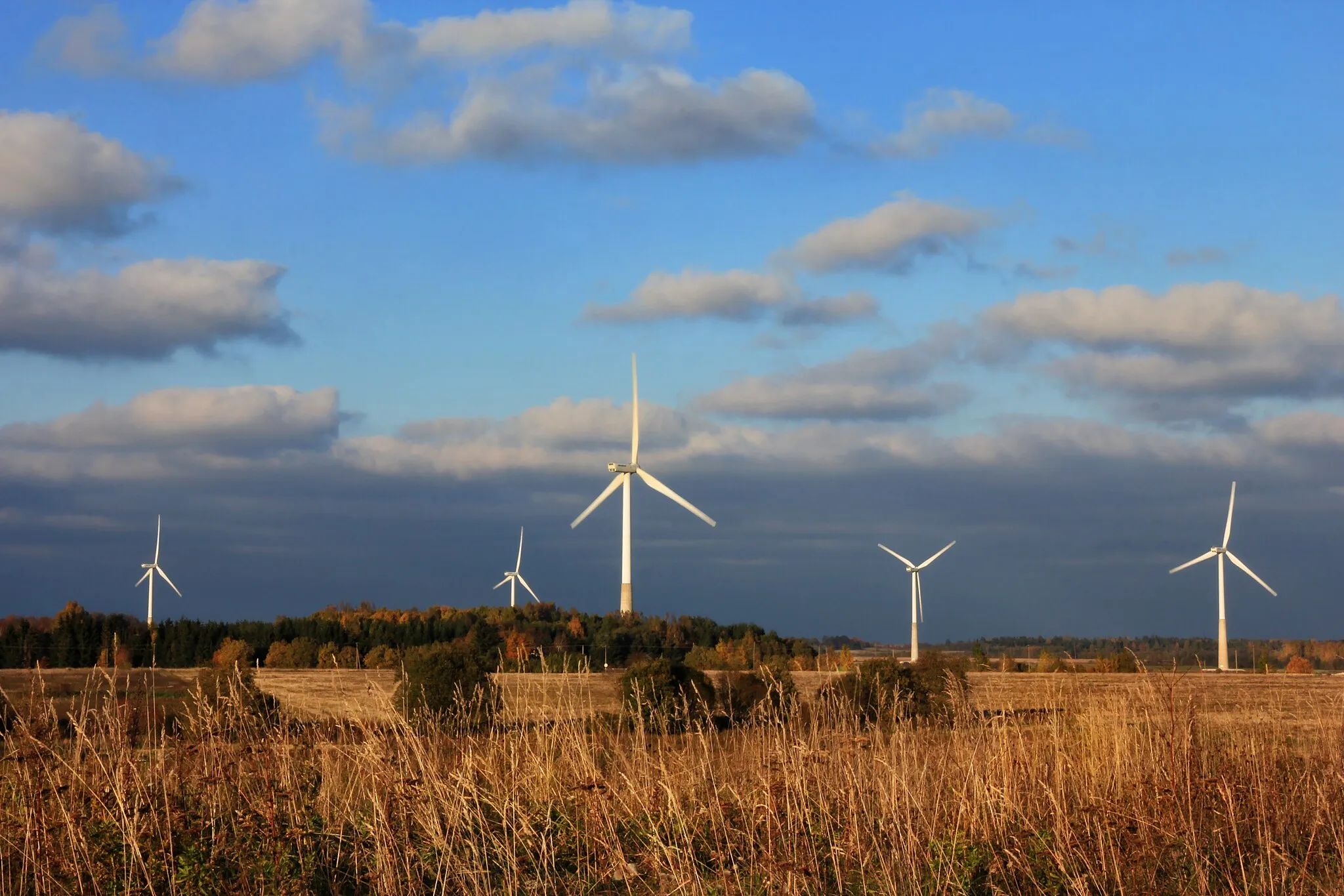 Photo showing: Aseriaru wind farm in Estonia
