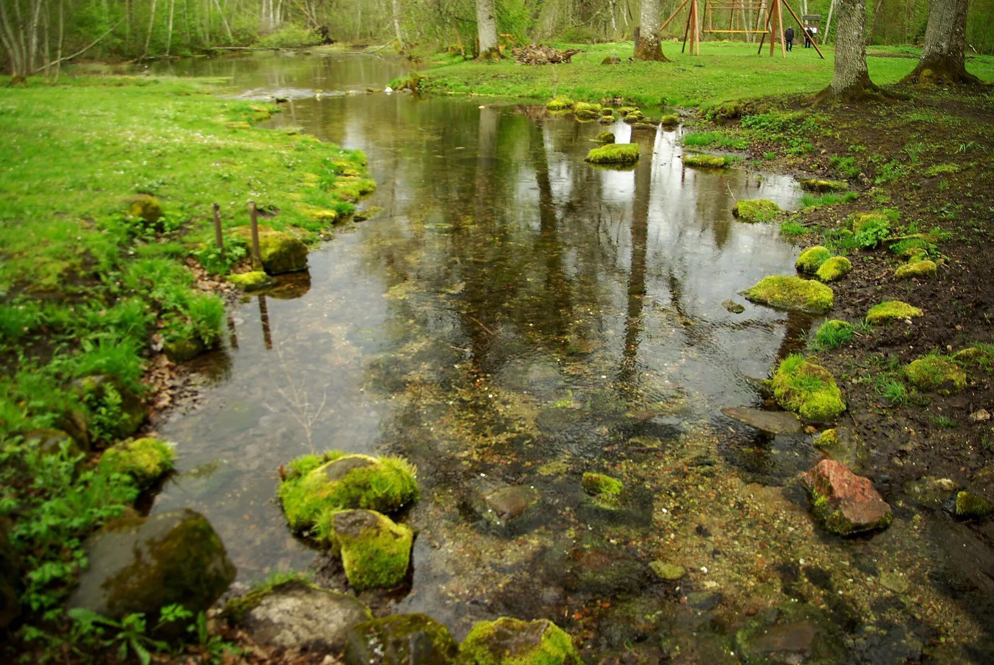 Photo showing: This is a photo of natural heritage of Estonia number