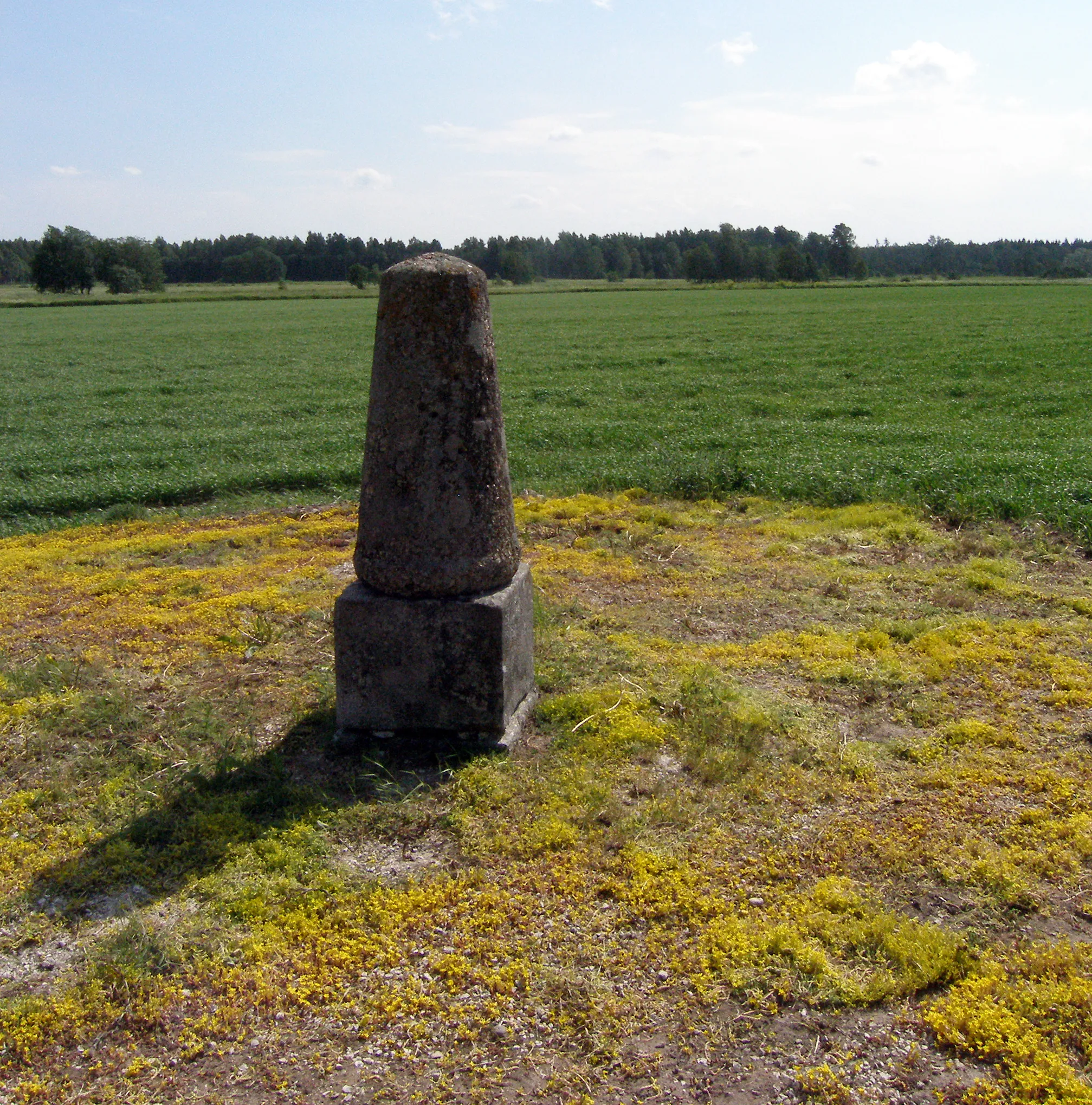 Photo showing: Struwe meridiaankaare mõõtmise tähis, Simuna