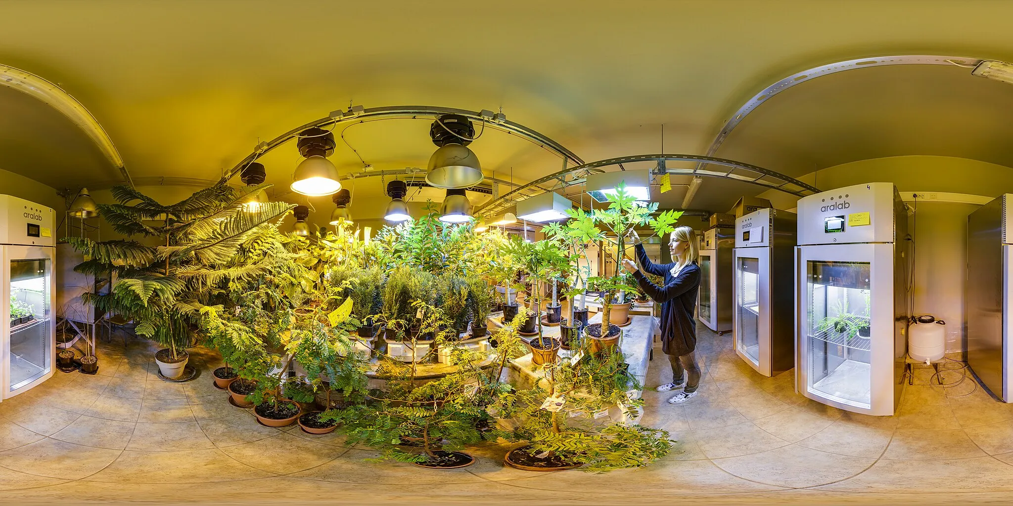 Photo showing: Estonian University of Life Sciences 360 panorama. Research greenhouse (phytotron) of the University's Centre of Excellence in Research EcolChange, where plants are being grown for experiments.