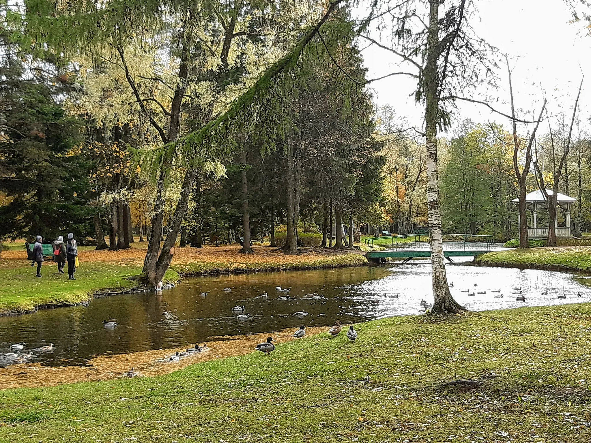 Photo showing: Narva-Jõesuu keskel asub park, kus on tiik ja ujub palju parte