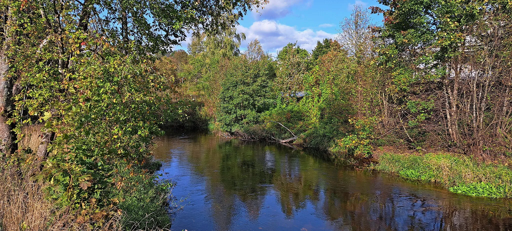 Photo showing: Река Валгейыги в городе Локса осенью. Эстония, 2023 год.