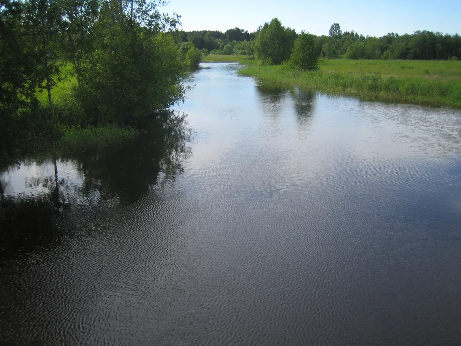 Photo showing: Avijõgi river in Lohusuu