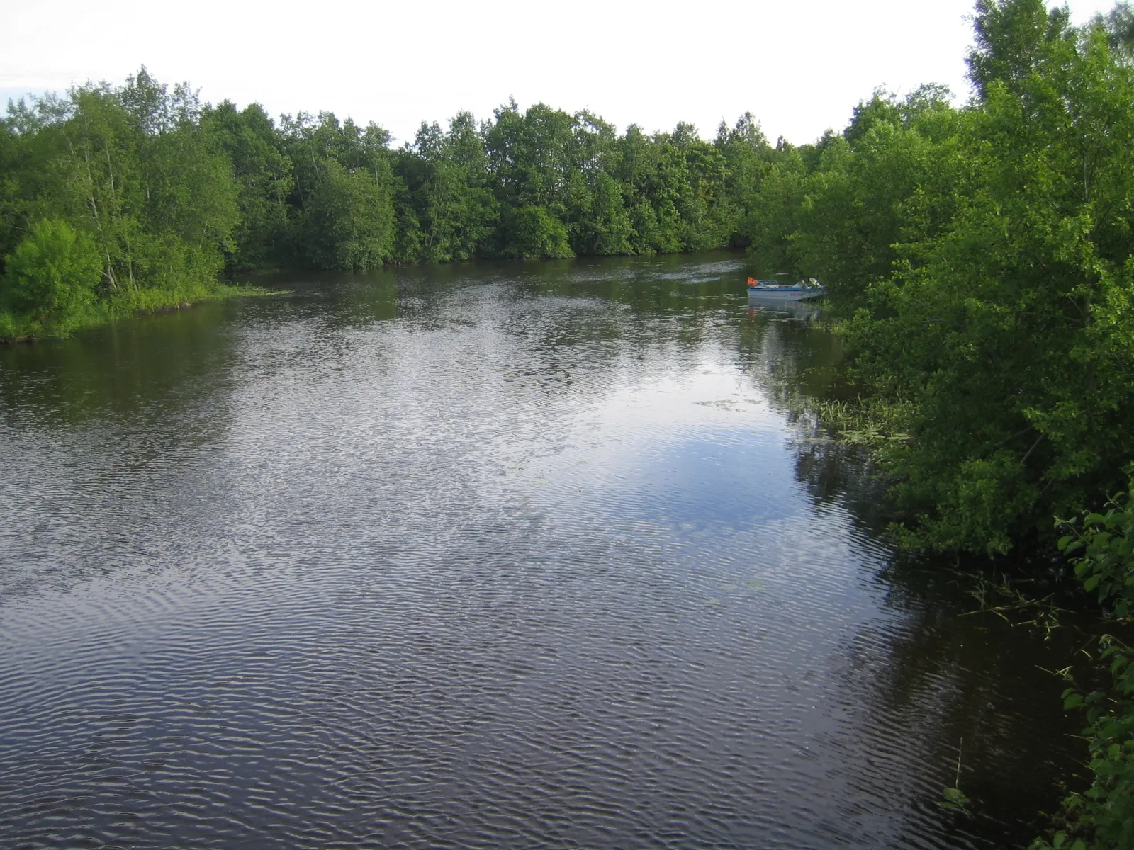 Photo showing: Avijõgi river in Lohusuu, Estonia