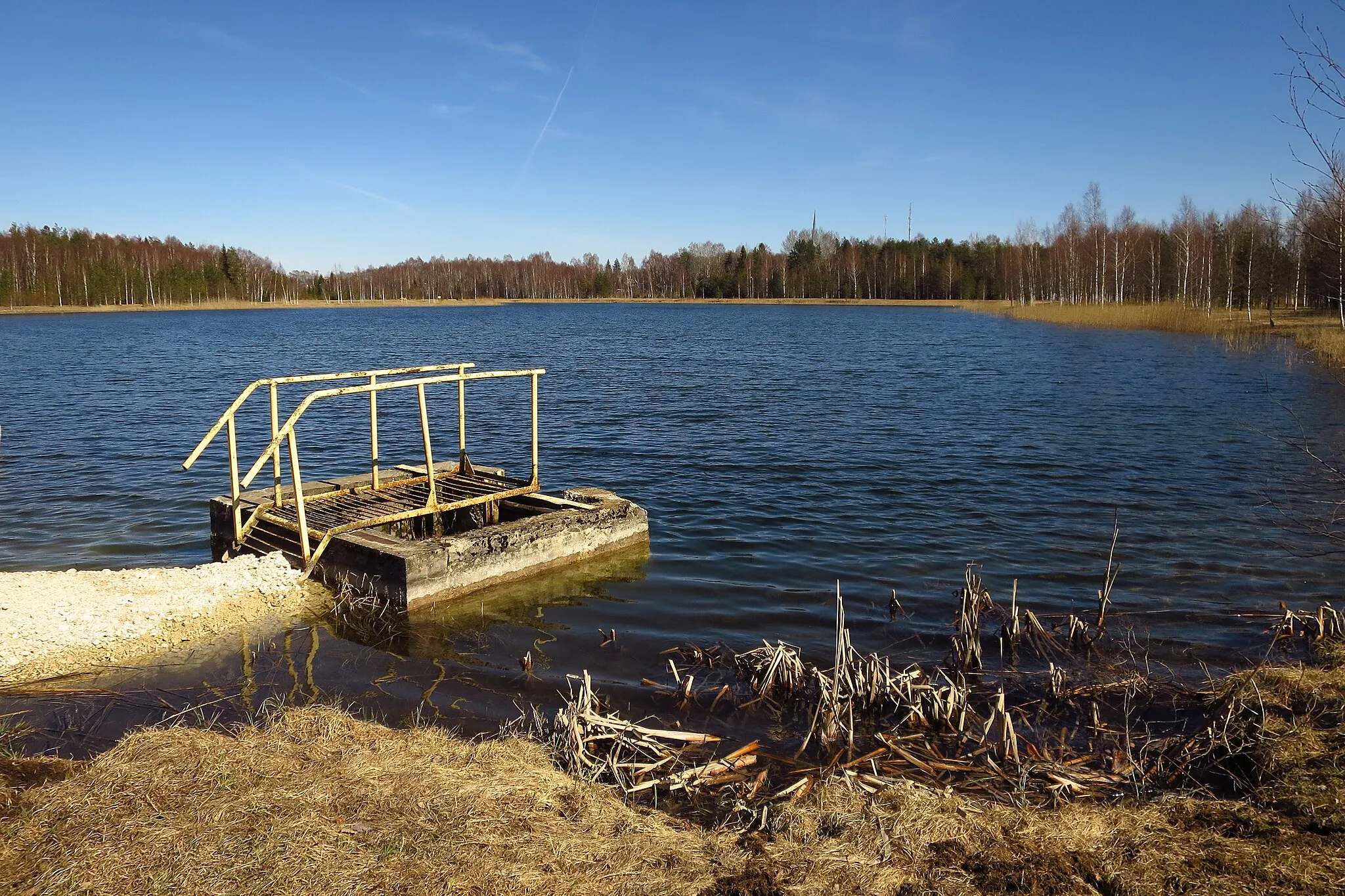 Photo showing: Järva-Jaani järv