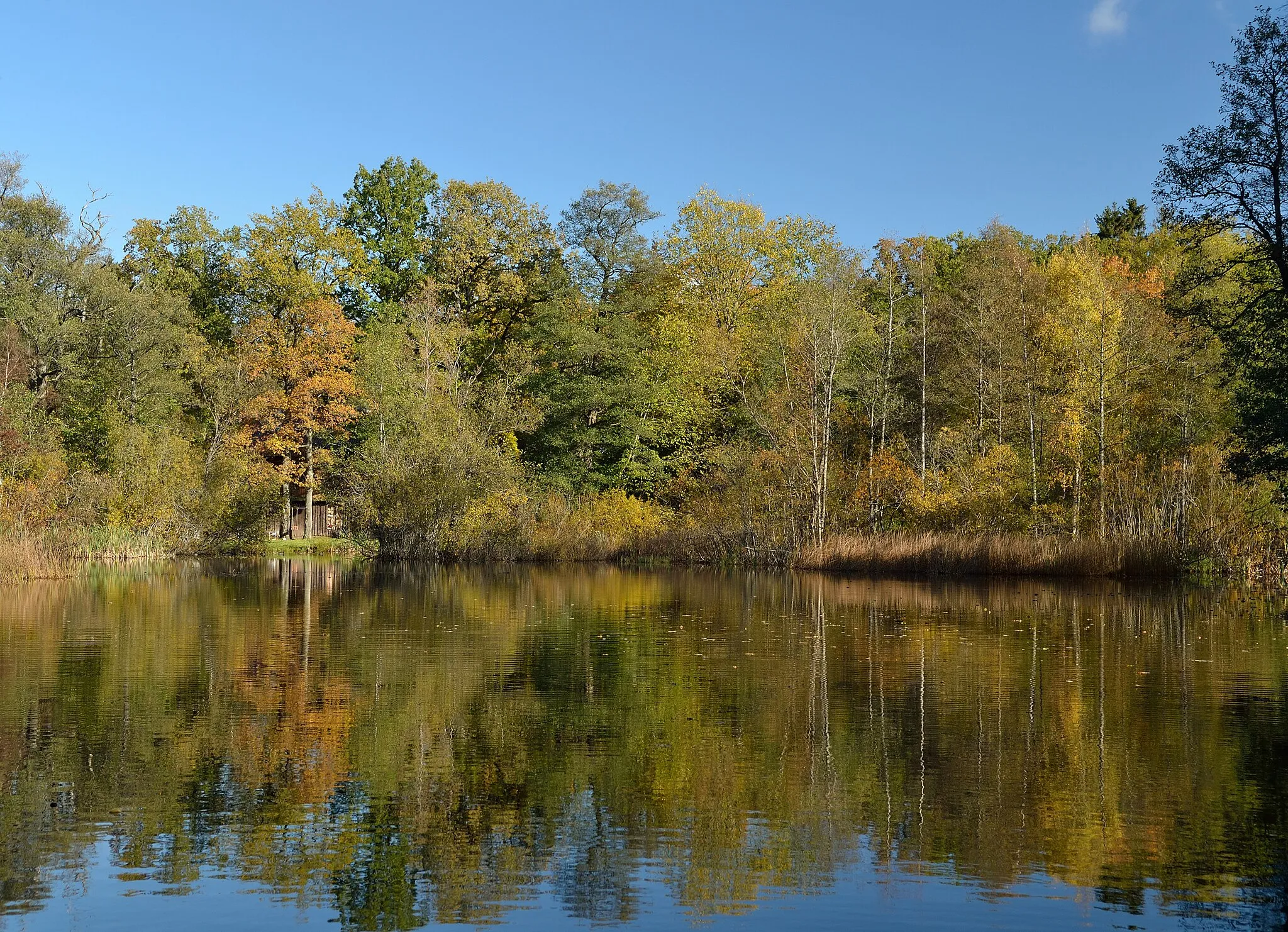 Photo showing: Lake Harku Mõisajärv