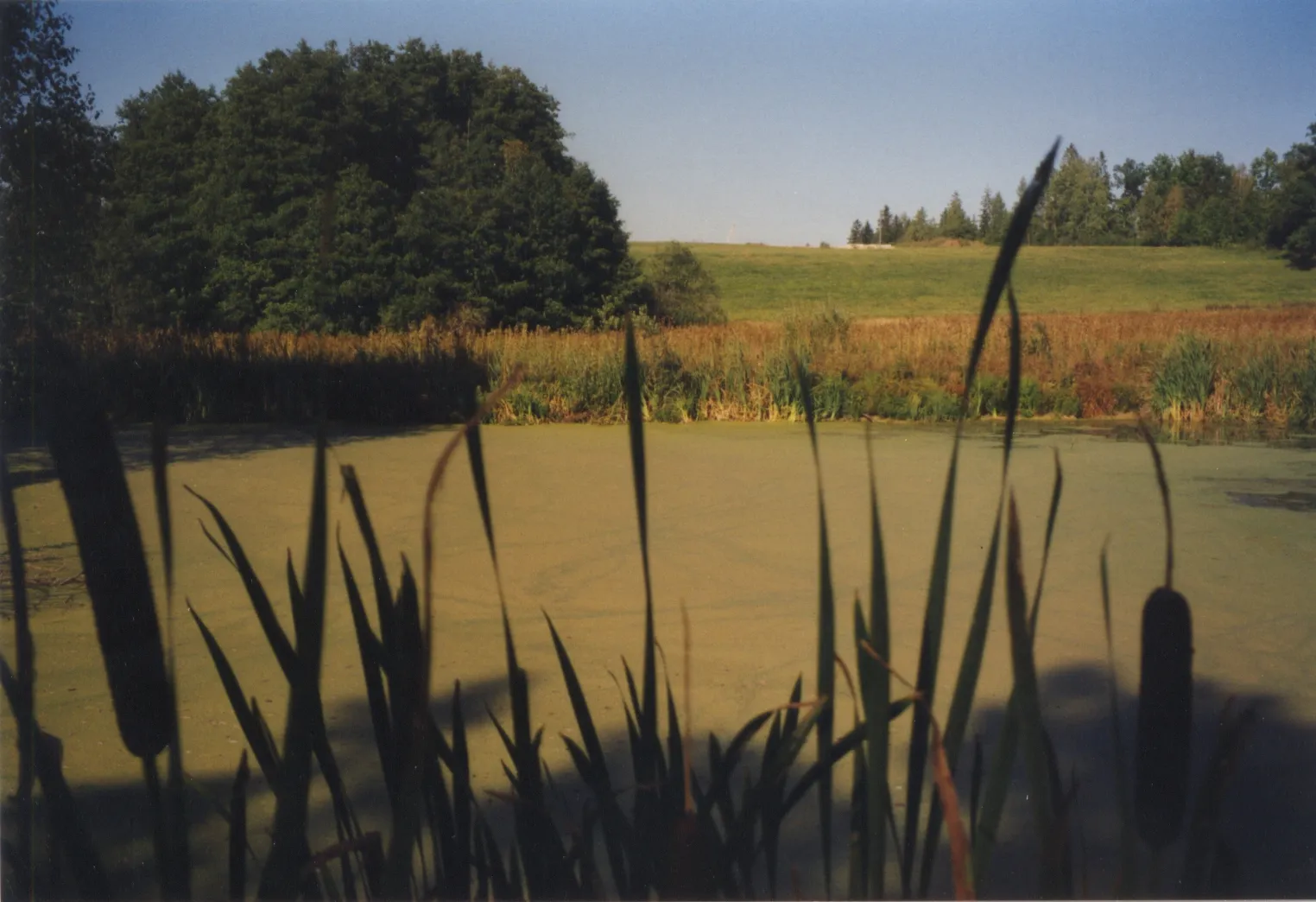 Photo showing: Ädlinn marsh 2