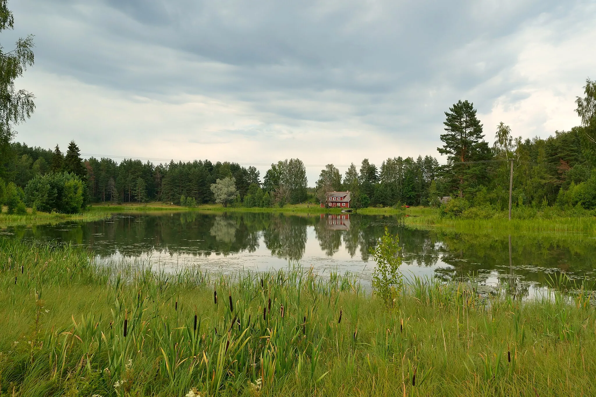 Photo showing: Lake Partsi Kõrdsijärv