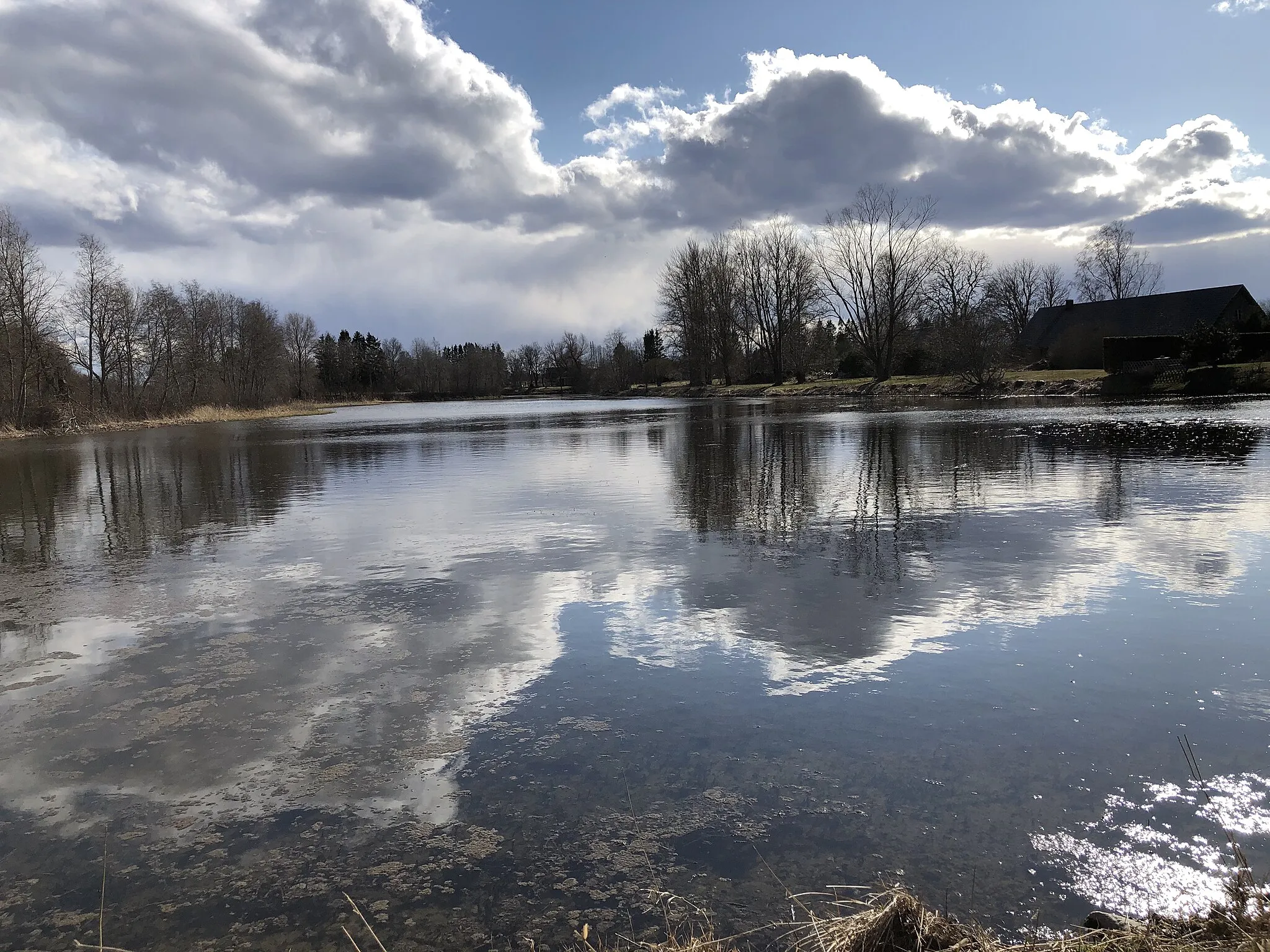 Photo showing: Järv Paeknas