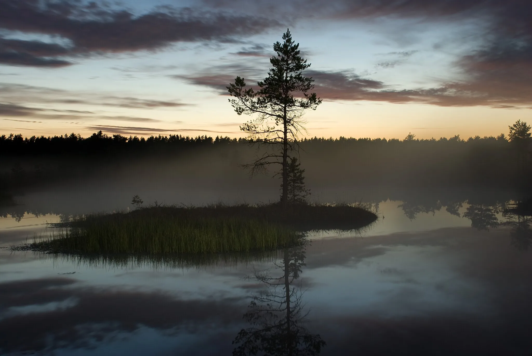 Photo showing: Over a long time taking pictures of the nature for a change